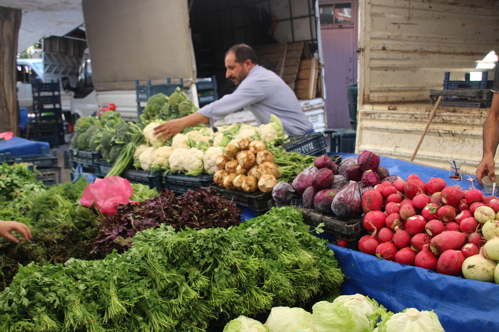 Malatya'da Poşetler Hafifliyor! Artık Pazarda da Sebze Meyve Almak Cep Yakıyor..!