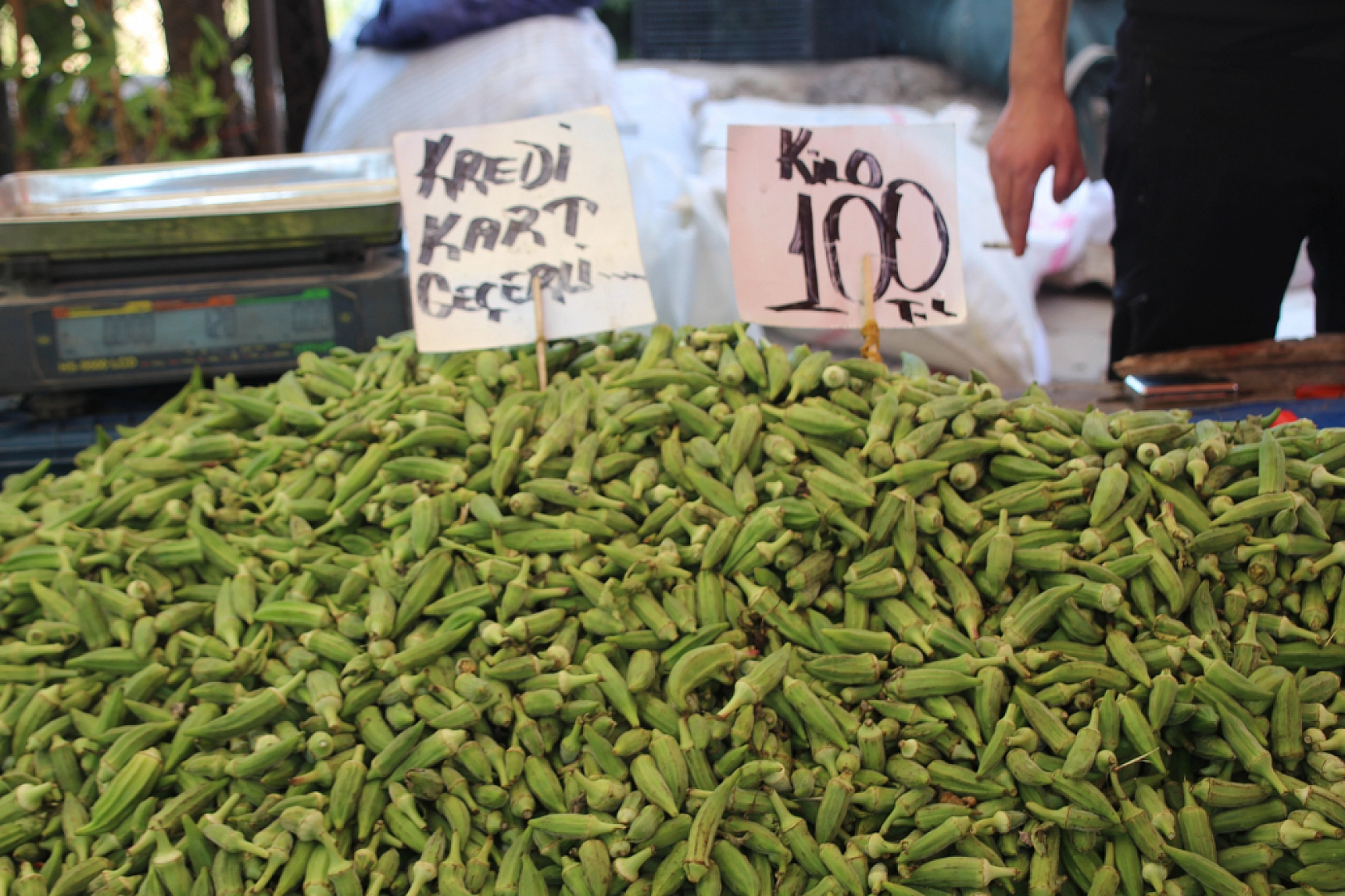 Malatya'da Poşetler Hafifliyor! Artık Pazarda da Sebze Meyve Almak Cep Yakıyor..!