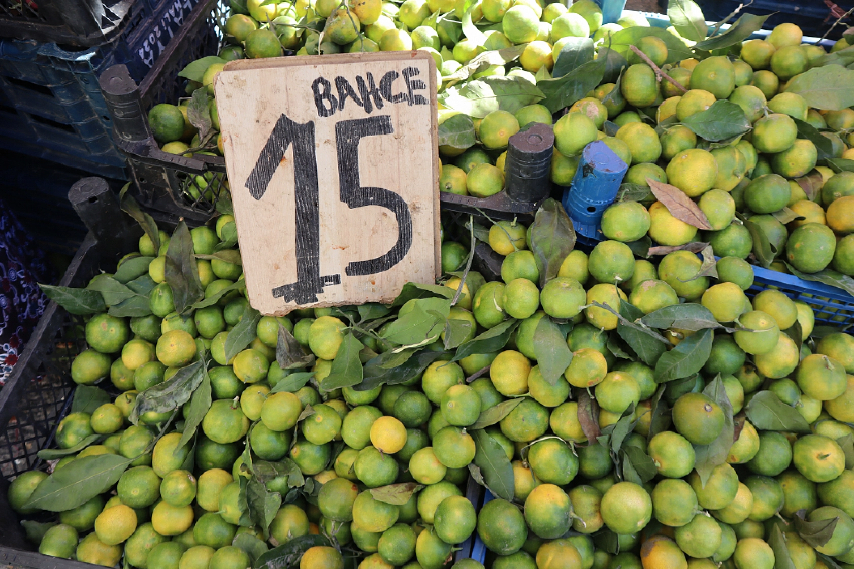 Malatya'da sebze fiyatları yüz güldürdü, meyve tezgâhları cep yaktı: Peki, sebze meyve fiyatları ne kadar?