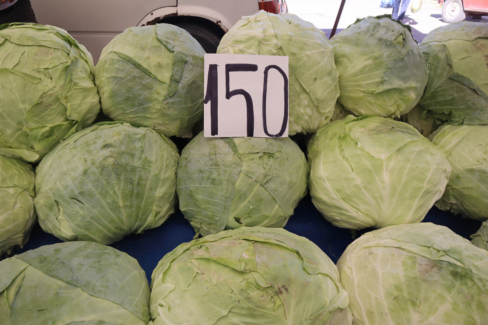 Malatya'da sebze fiyatları yüz güldürdü, meyve tezgâhları cep yaktı: Peki, sebze meyve fiyatları ne kadar?