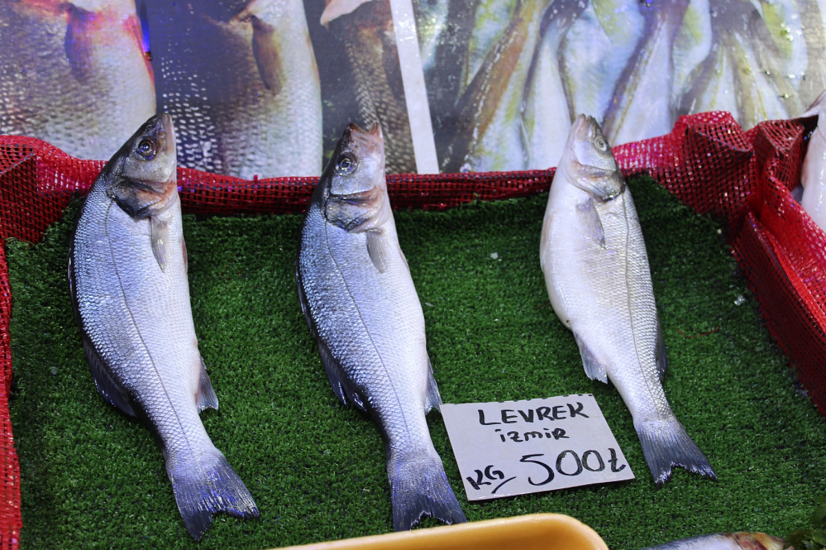 Malatya'da balık sezonu başladı! En ucuz balık hangisi? İşte fiyatlar...