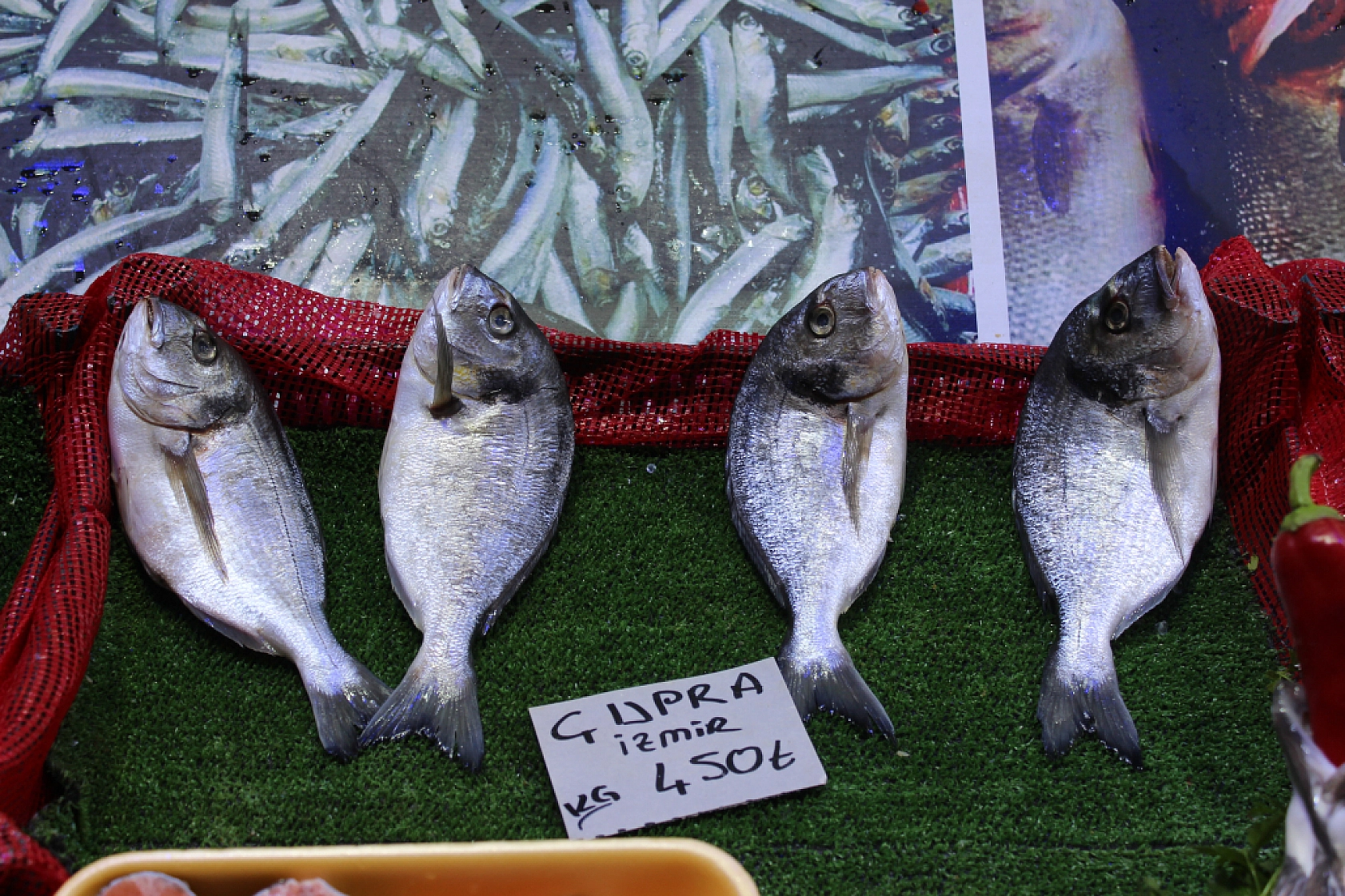 Malatya'da balık sezonu başladı! En ucuz balık hangisi? İşte fiyatlar...