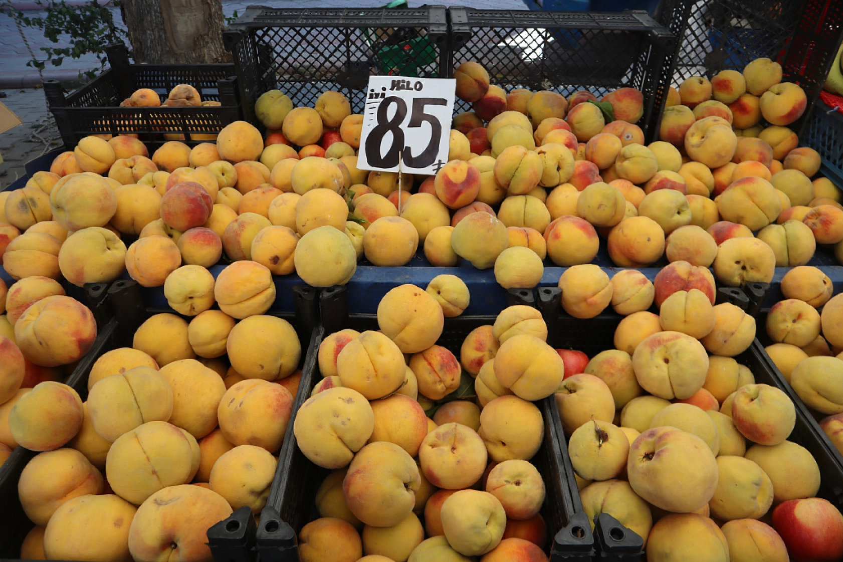 Malatya'da sebze fiyatları yüz güldürdü, meyve tezgâhları cep yaktı: Peki, sebze meyve fiyatları ne kadar?