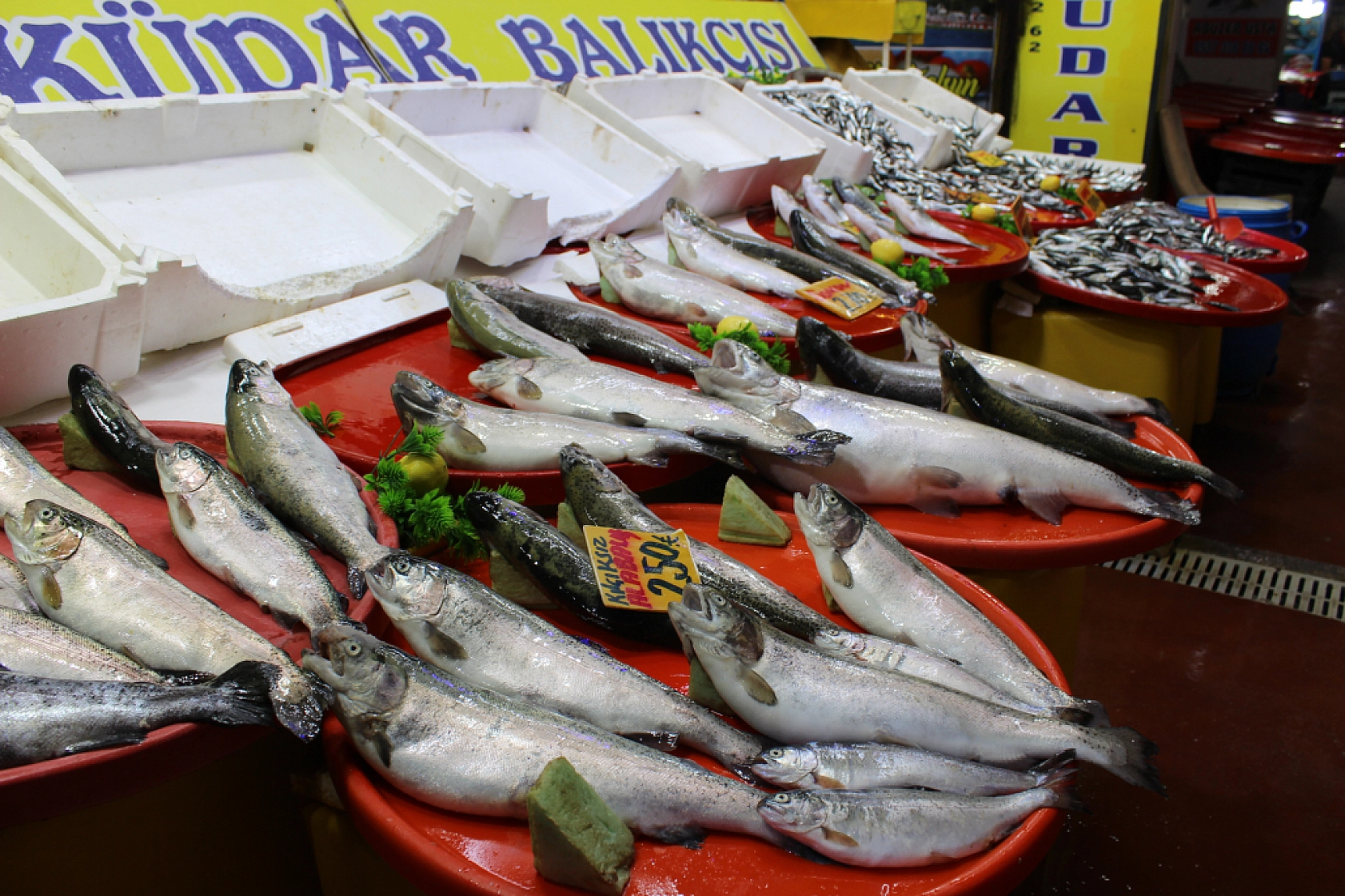 Malatya'da balık sezonu başladı! En ucuz balık hangisi? İşte fiyatlar...