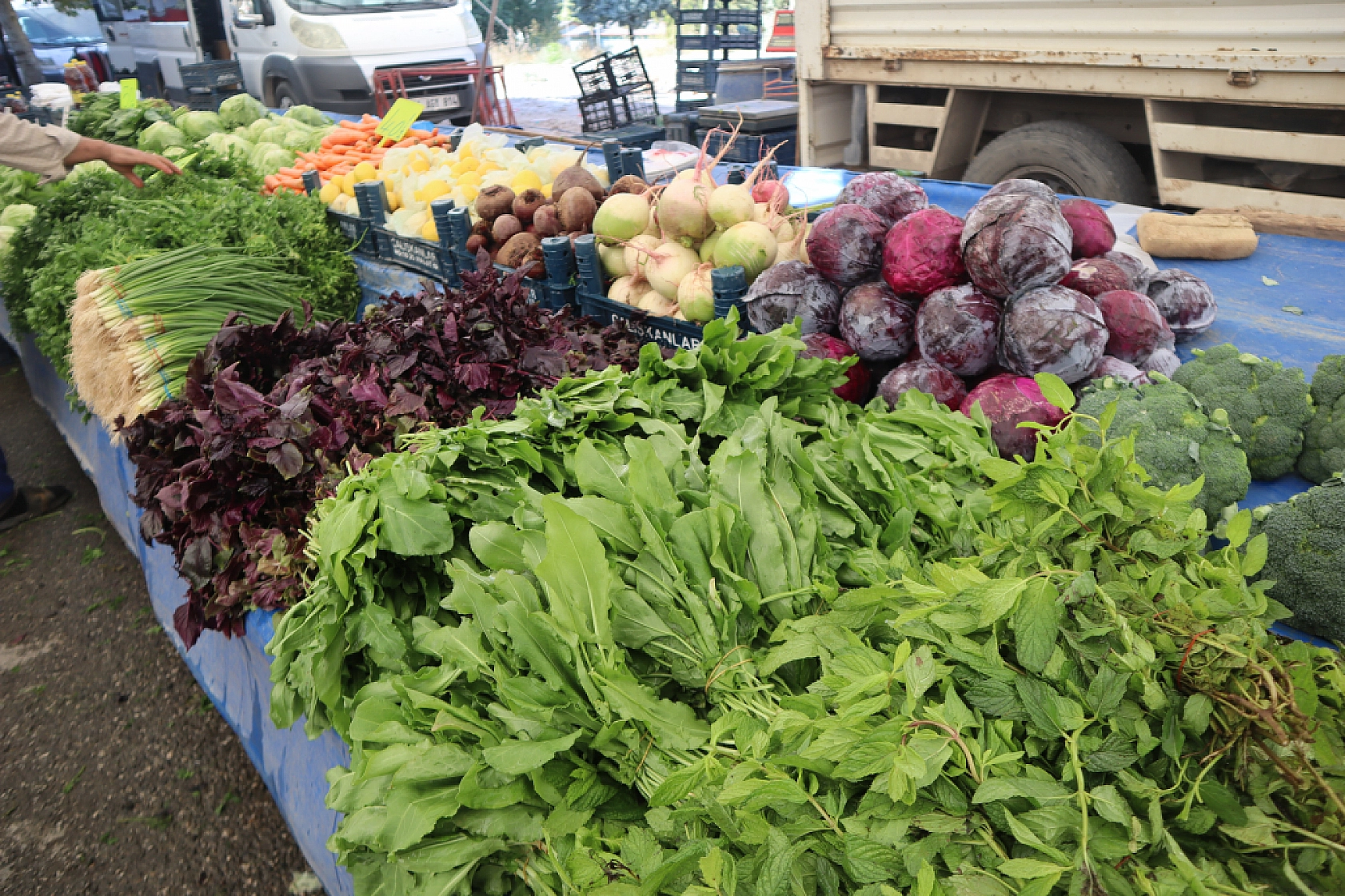 Malatya'da sebze fiyatları yüz güldürdü, meyve tezgâhları cep yaktı: Peki, sebze meyve fiyatları ne kadar?