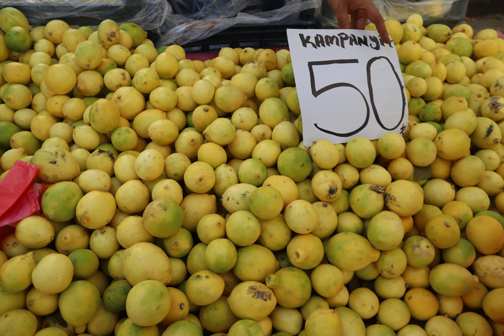 Malatya'da sebze fiyatları yüz güldürdü, meyve tezgâhları cep yaktı: Peki, sebze meyve fiyatları ne kadar?