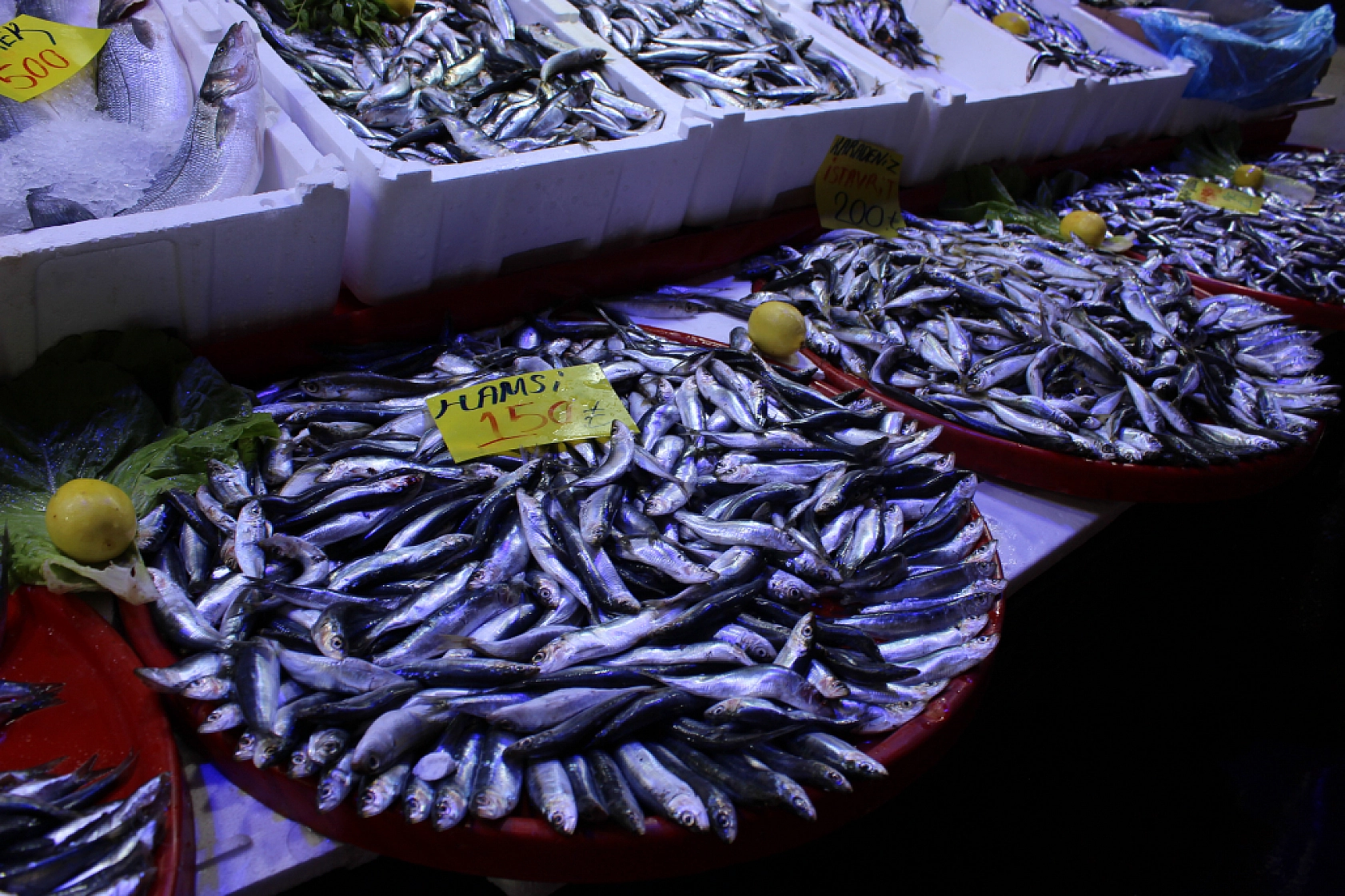 Malatya'da balık sezonu başladı! En ucuz balık hangisi? İşte fiyatlar...