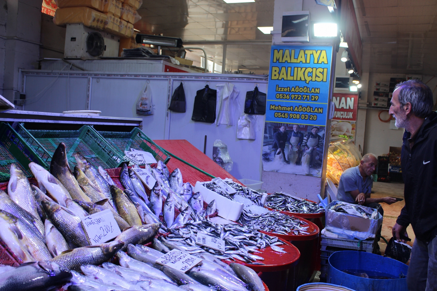 Malatya'da balık sezonu başladı! En ucuz balık hangisi? İşte fiyatlar...