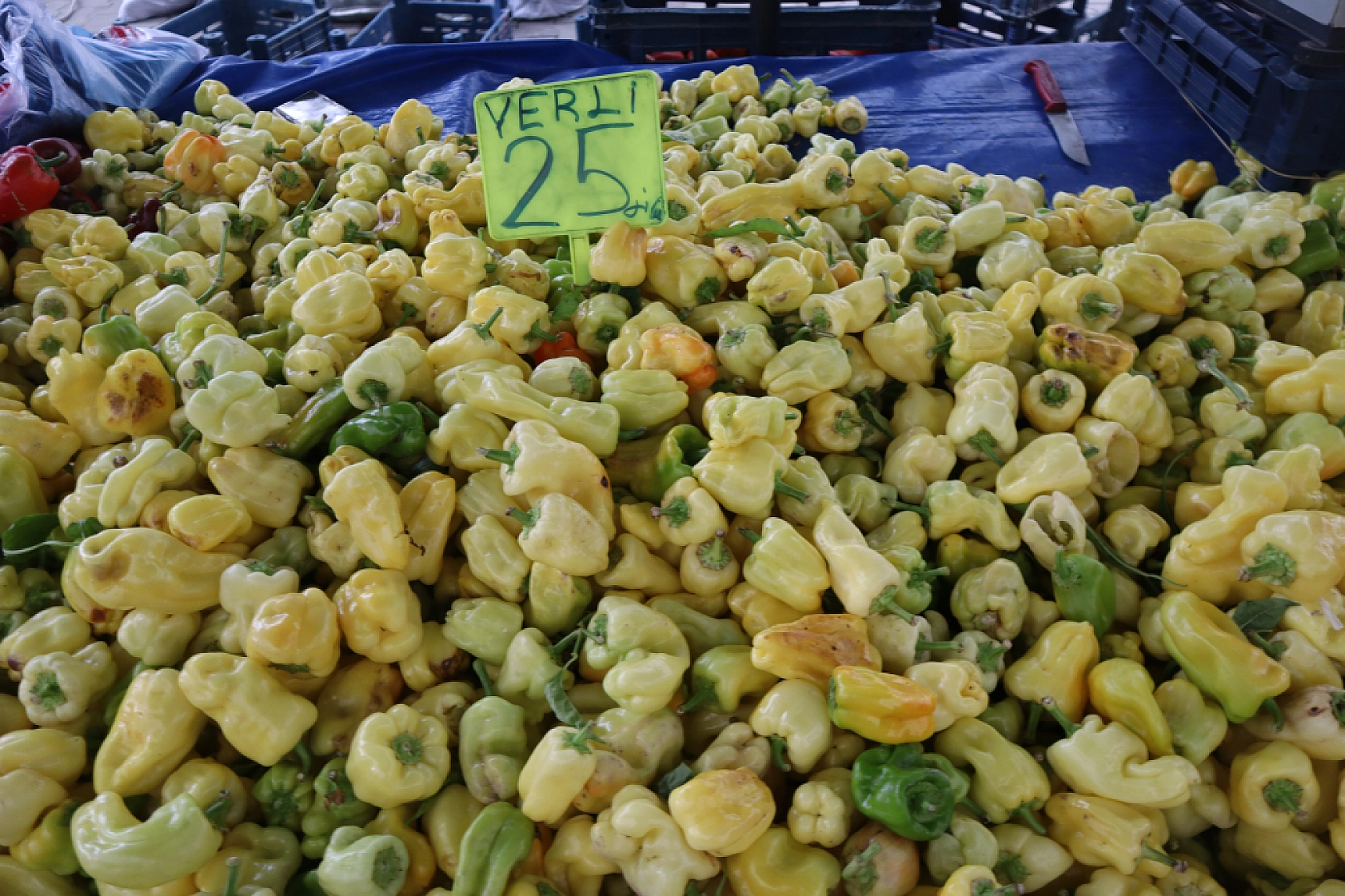 Pazarda ilginç tablo: Domates ucuz, şeftali el yakıyor