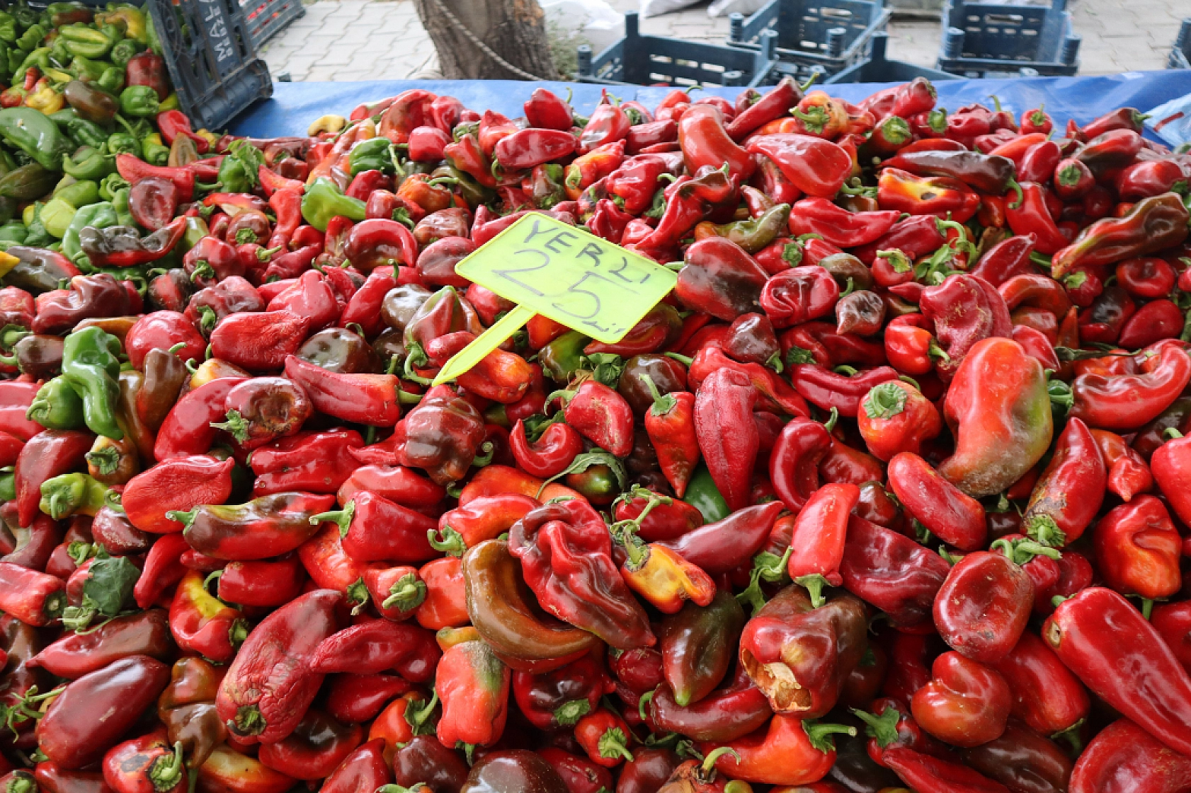 Pazarda ilginç tablo: Domates ucuz, şeftali el yakıyor