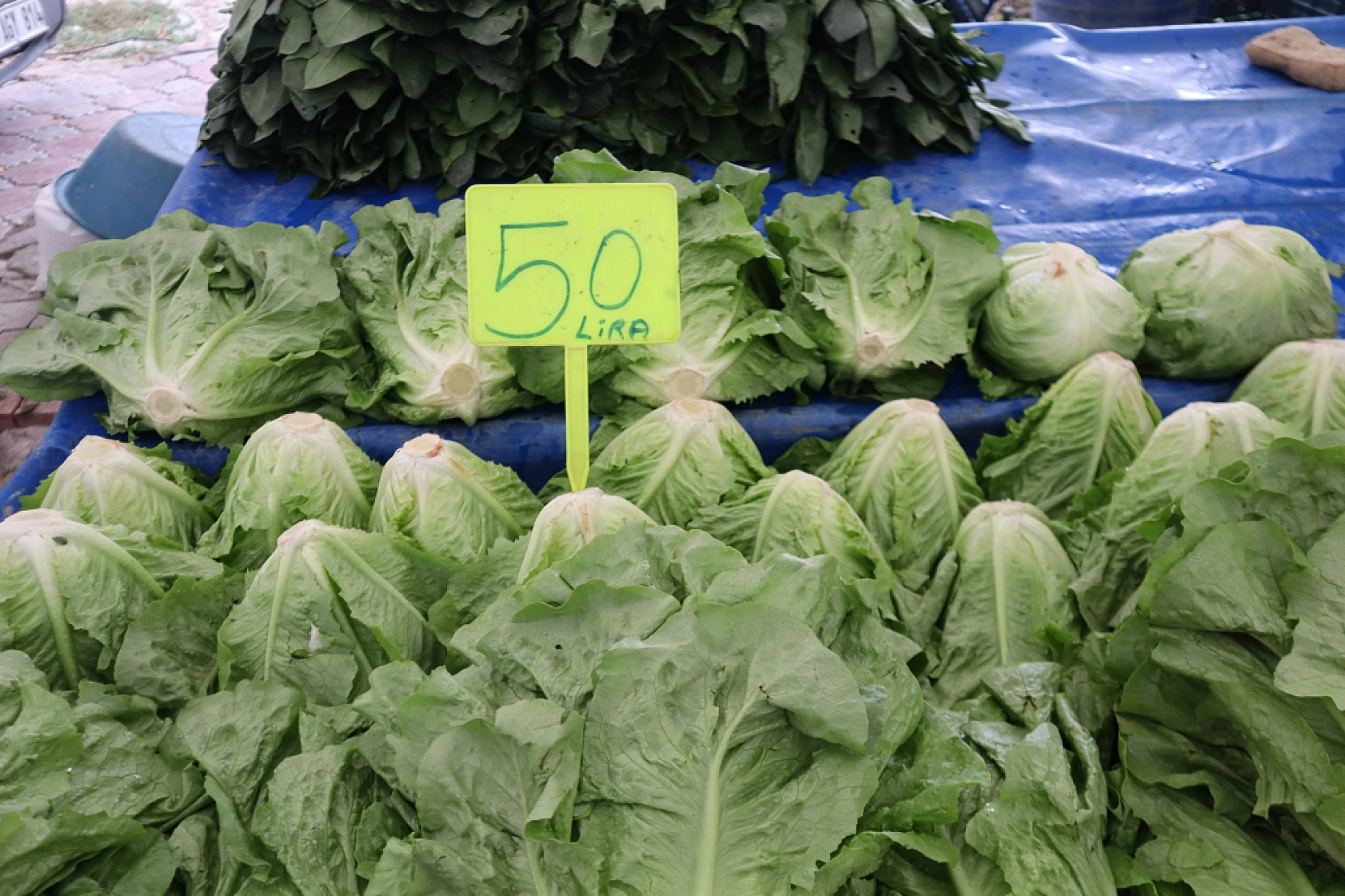 Pazarda ilginç tablo: Domates ucuz, şeftali el yakıyor