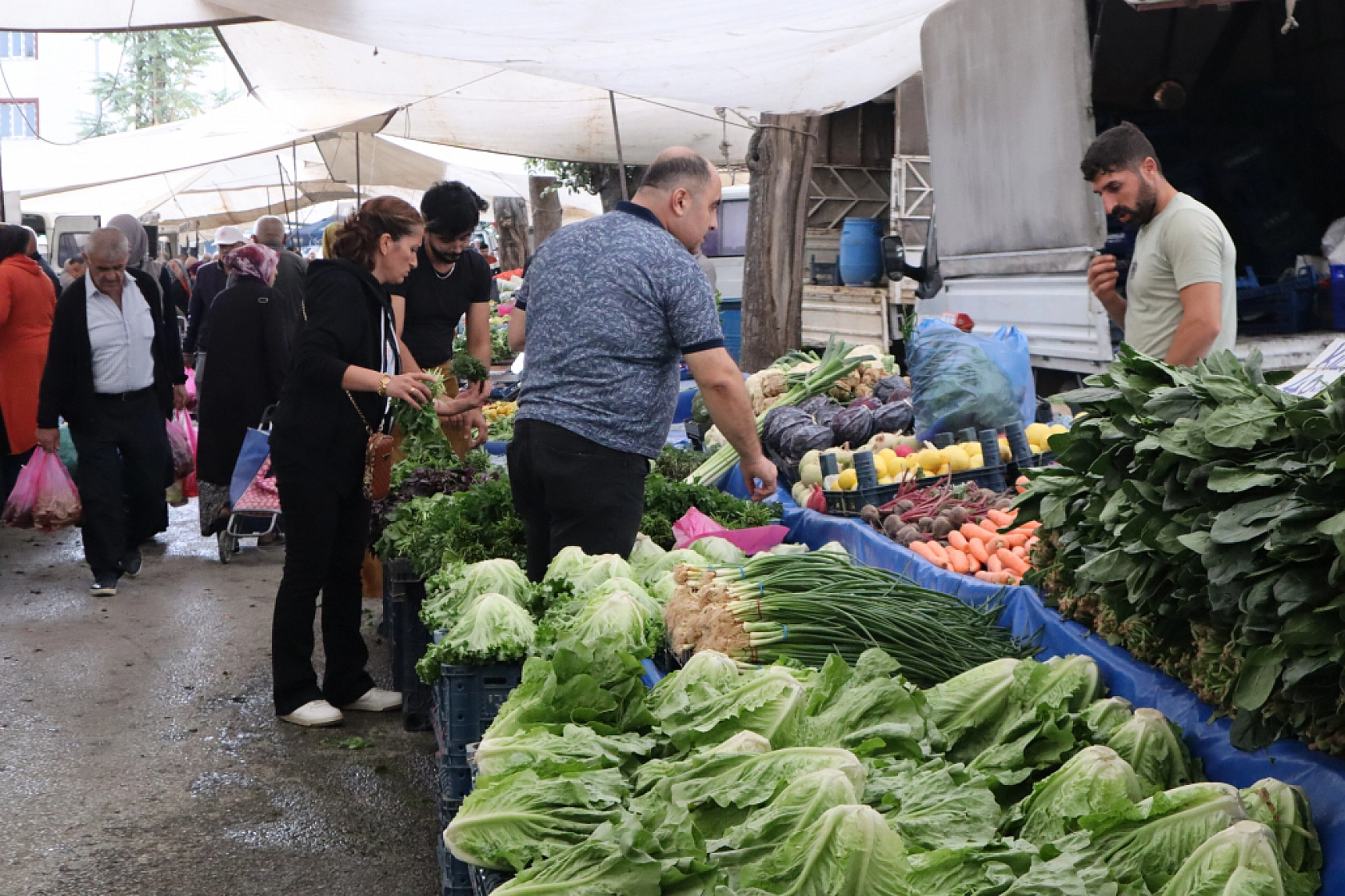 Pazarda ilginç tablo: Domates ucuz, şeftali el yakıyor