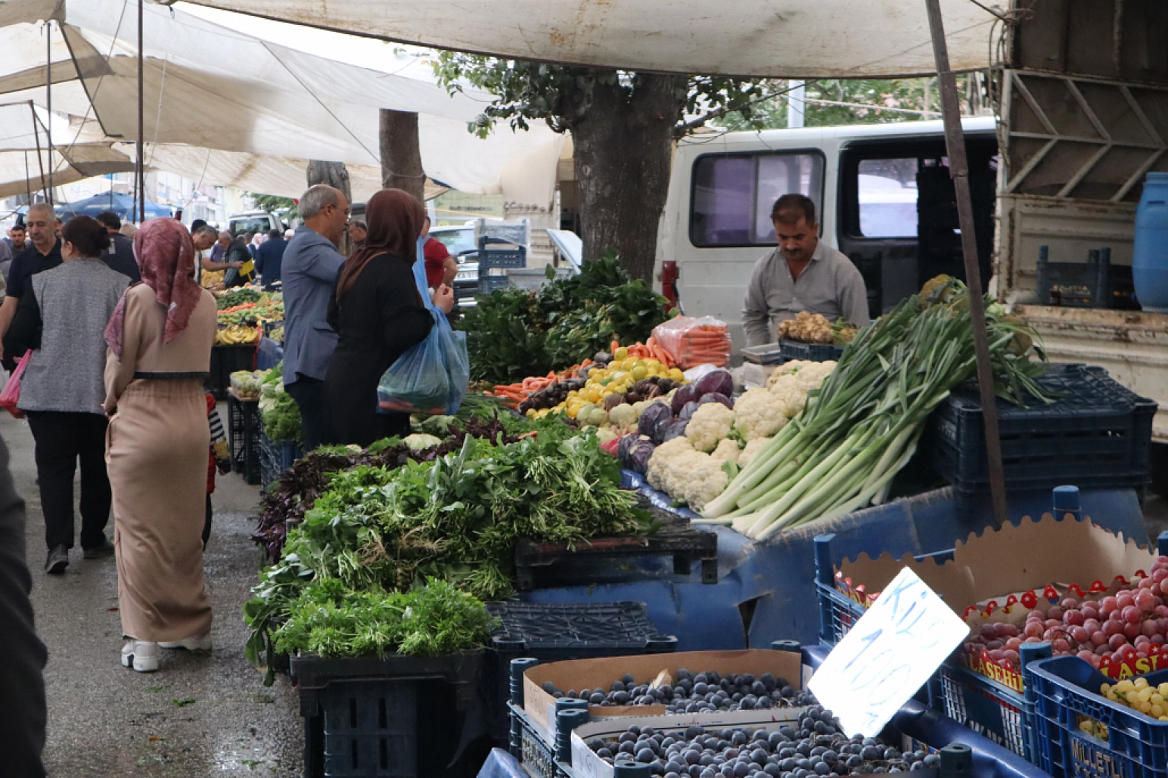 Pazarda ilginç tablo: Domates ucuz, şeftali el yakıyor
