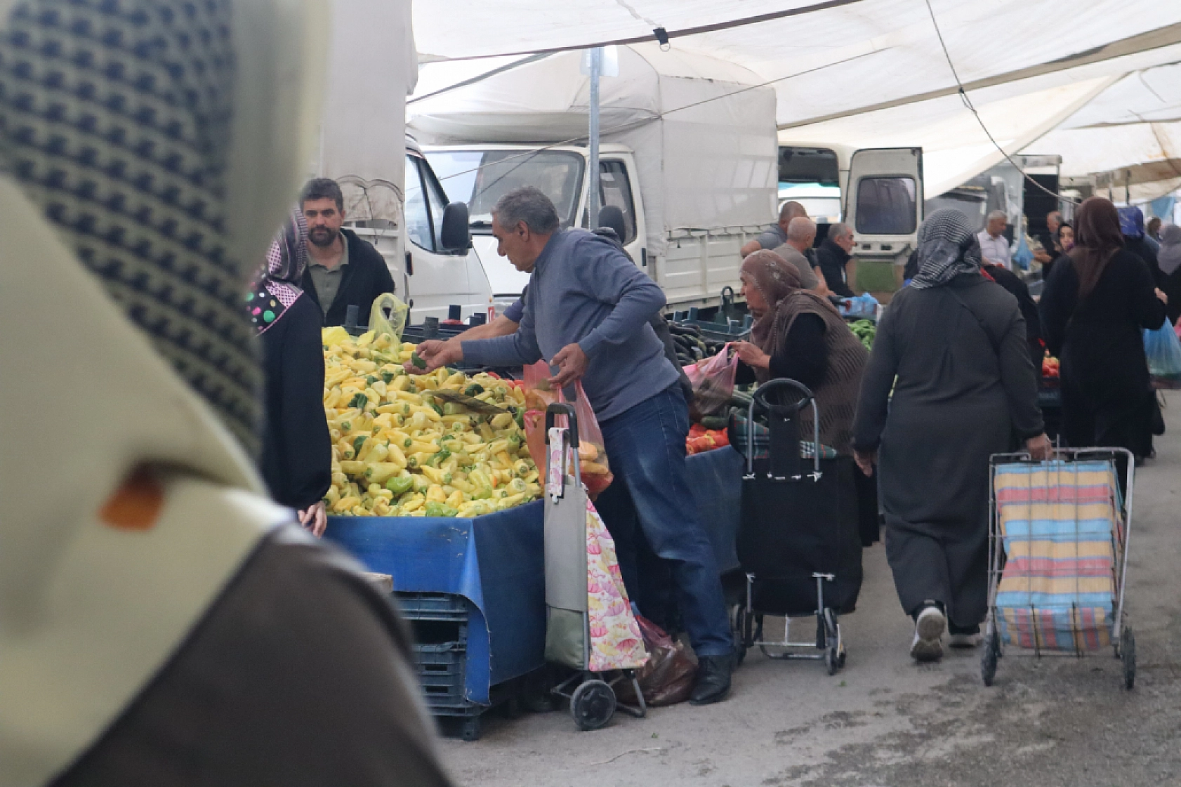 Pazarda ilginç tablo: Domates ucuz, şeftali el yakıyor