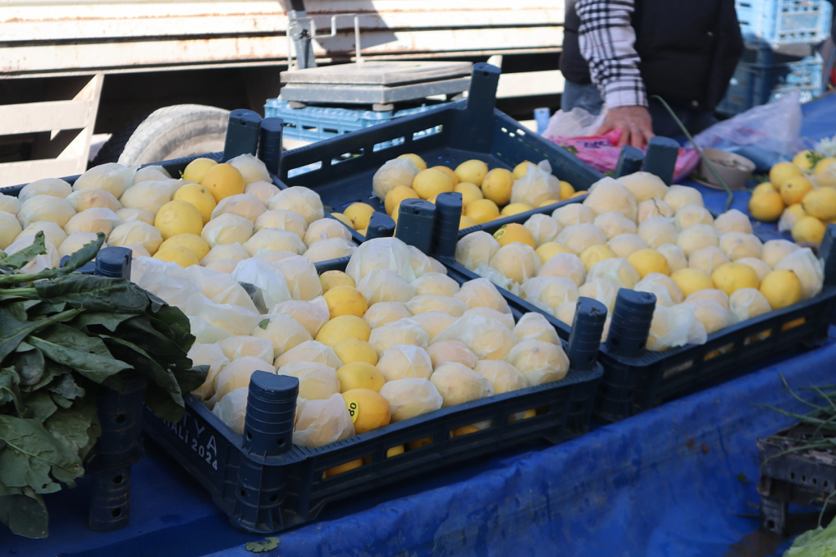 Malatya'da Soğuk Hava Vatandaşları Durduramadı! Herkes Oraya Akın Etti..!