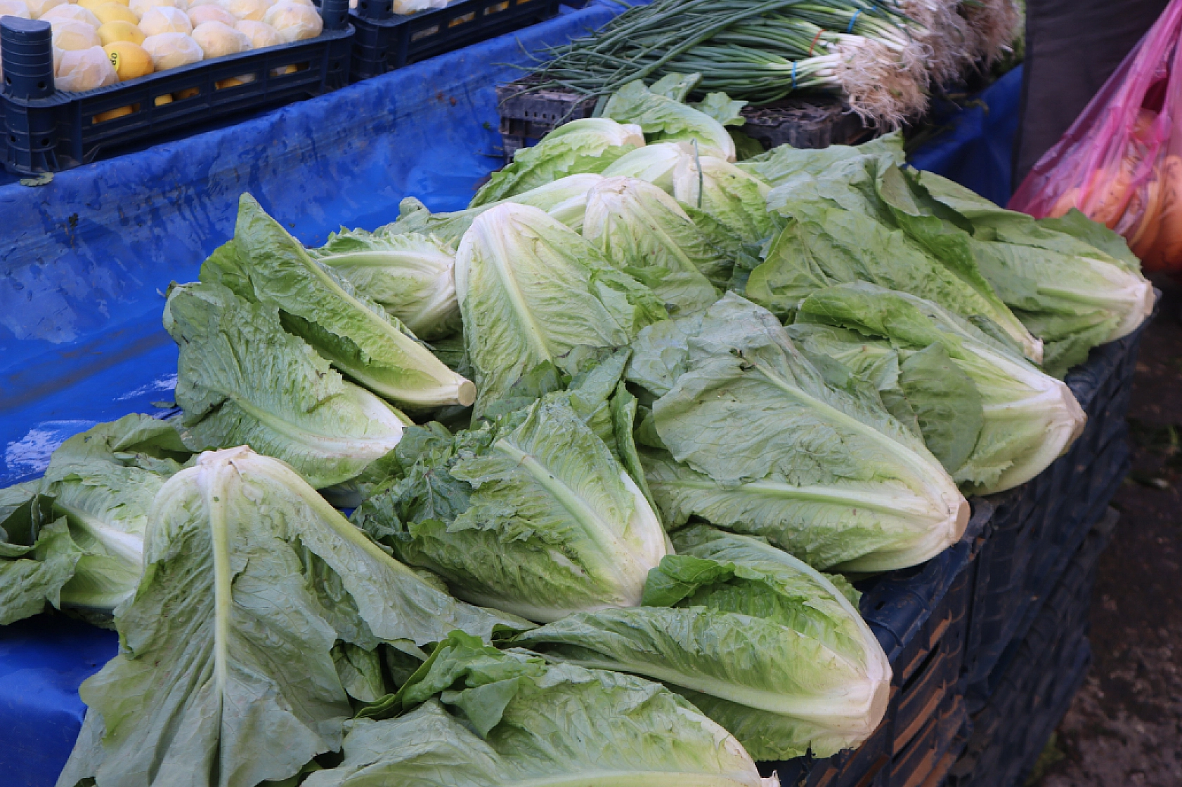 Malatya'da Soğuk Hava Vatandaşları Durduramadı! Herkes Oraya Akın Etti..!