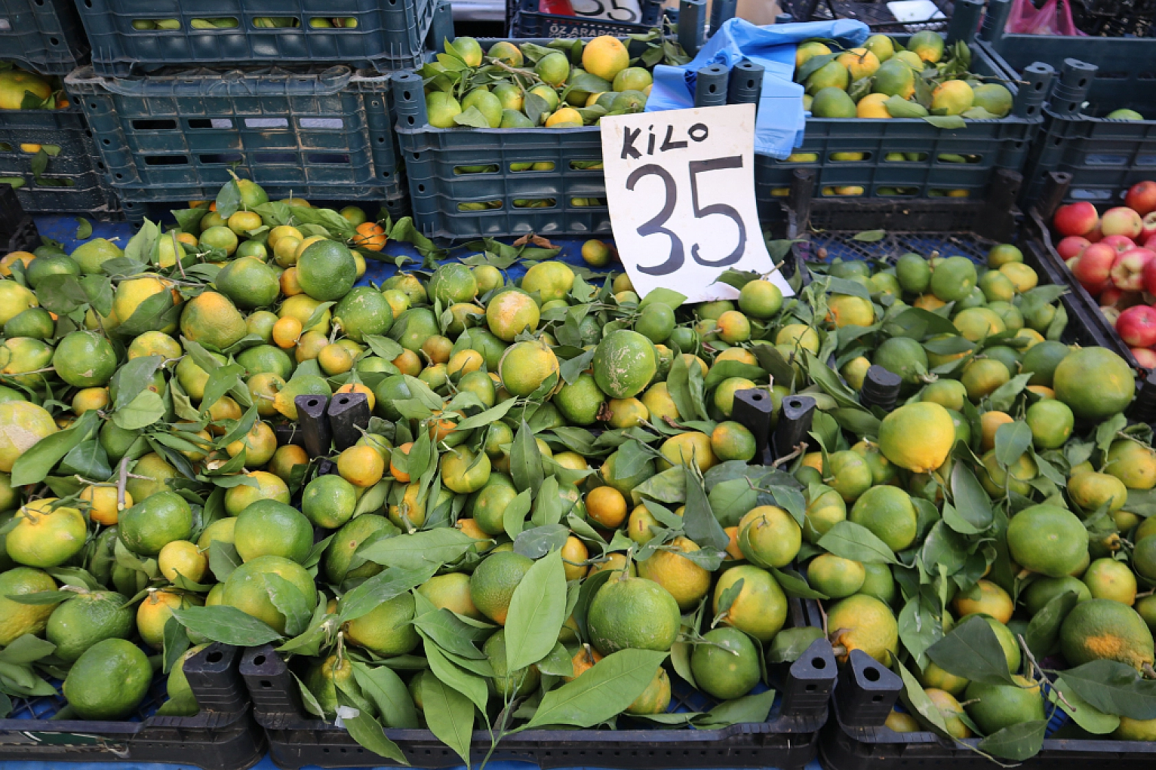 Malatya'da Soğuk Hava Vatandaşları Durduramadı! Herkes Oraya Akın Etti..!