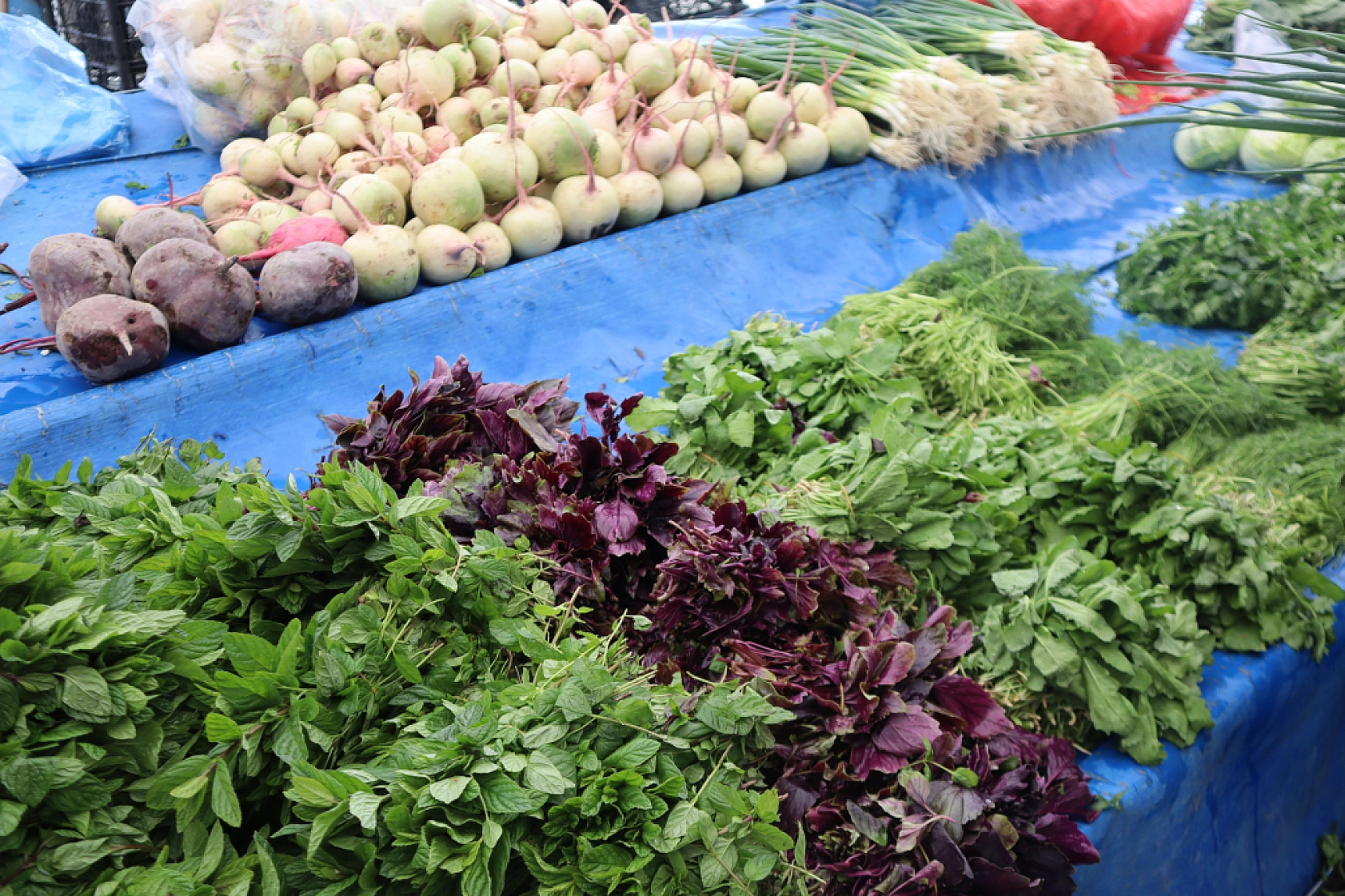 Malatya'da Soğuk Hava Vatandaşları Durduramadı! Herkes Oraya Akın Etti..!
