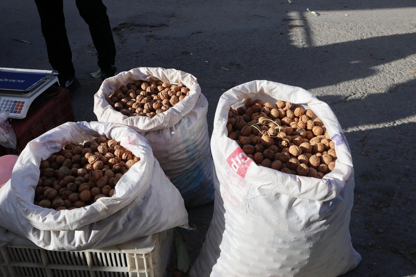 Malatya'da Soğuk Hava Vatandaşları Durduramadı! Herkes Oraya Akın Etti..!