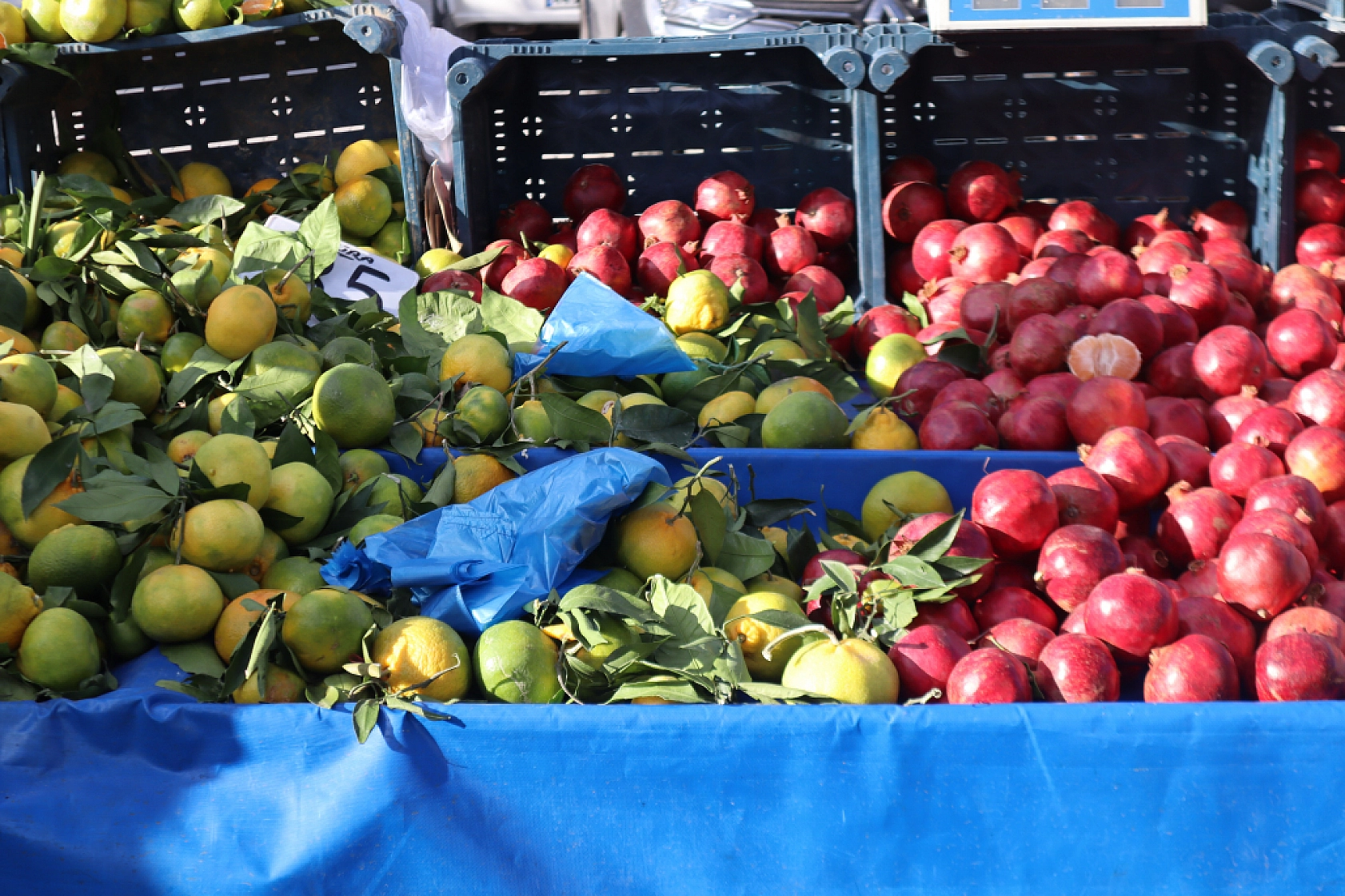 Malatya'da Soğuk Hava Vatandaşları Durduramadı! Herkes Oraya Akın Etti..!