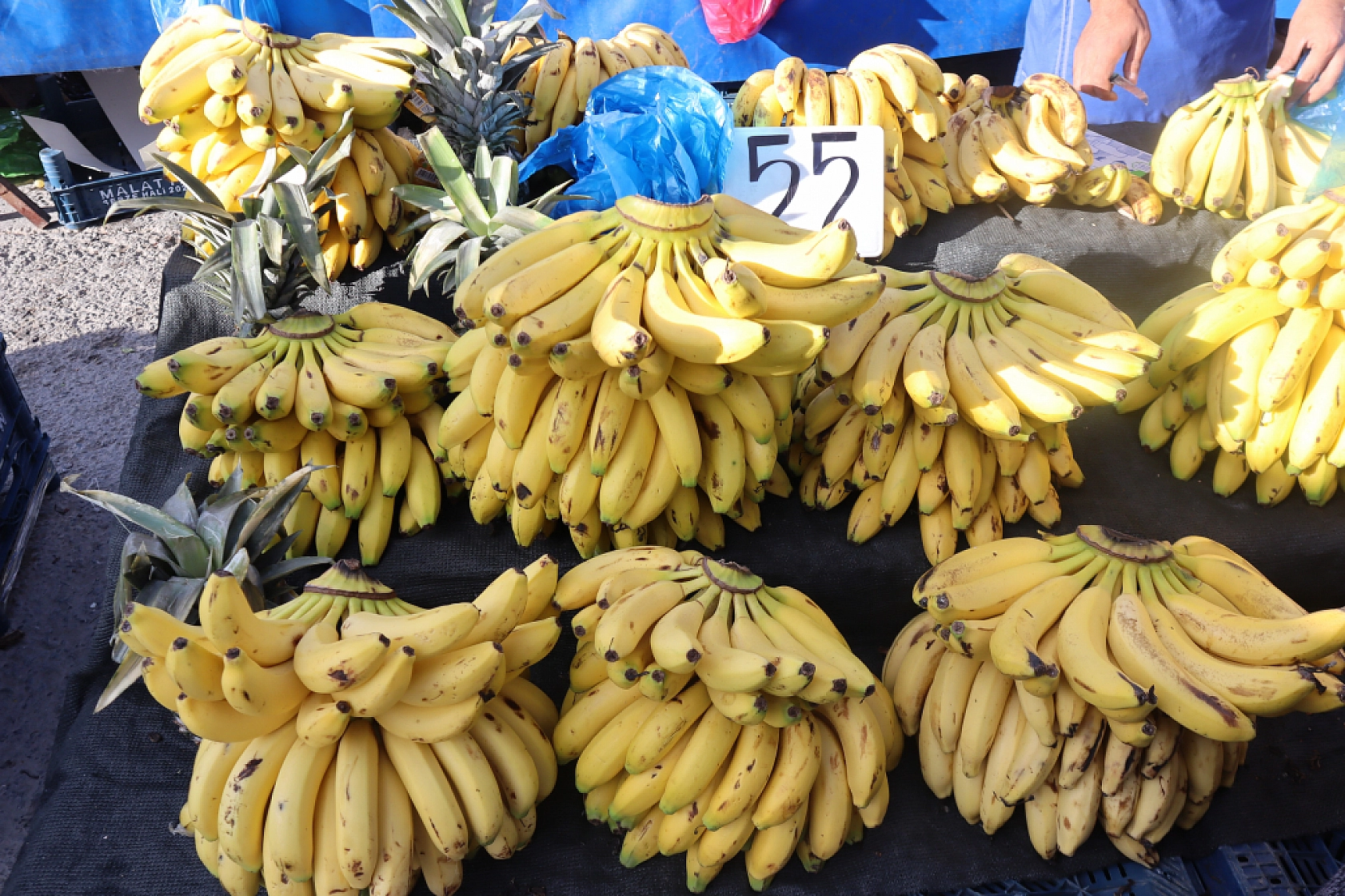 Malatya'da Soğuk Hava Vatandaşları Durduramadı! Herkes Oraya Akın Etti..!