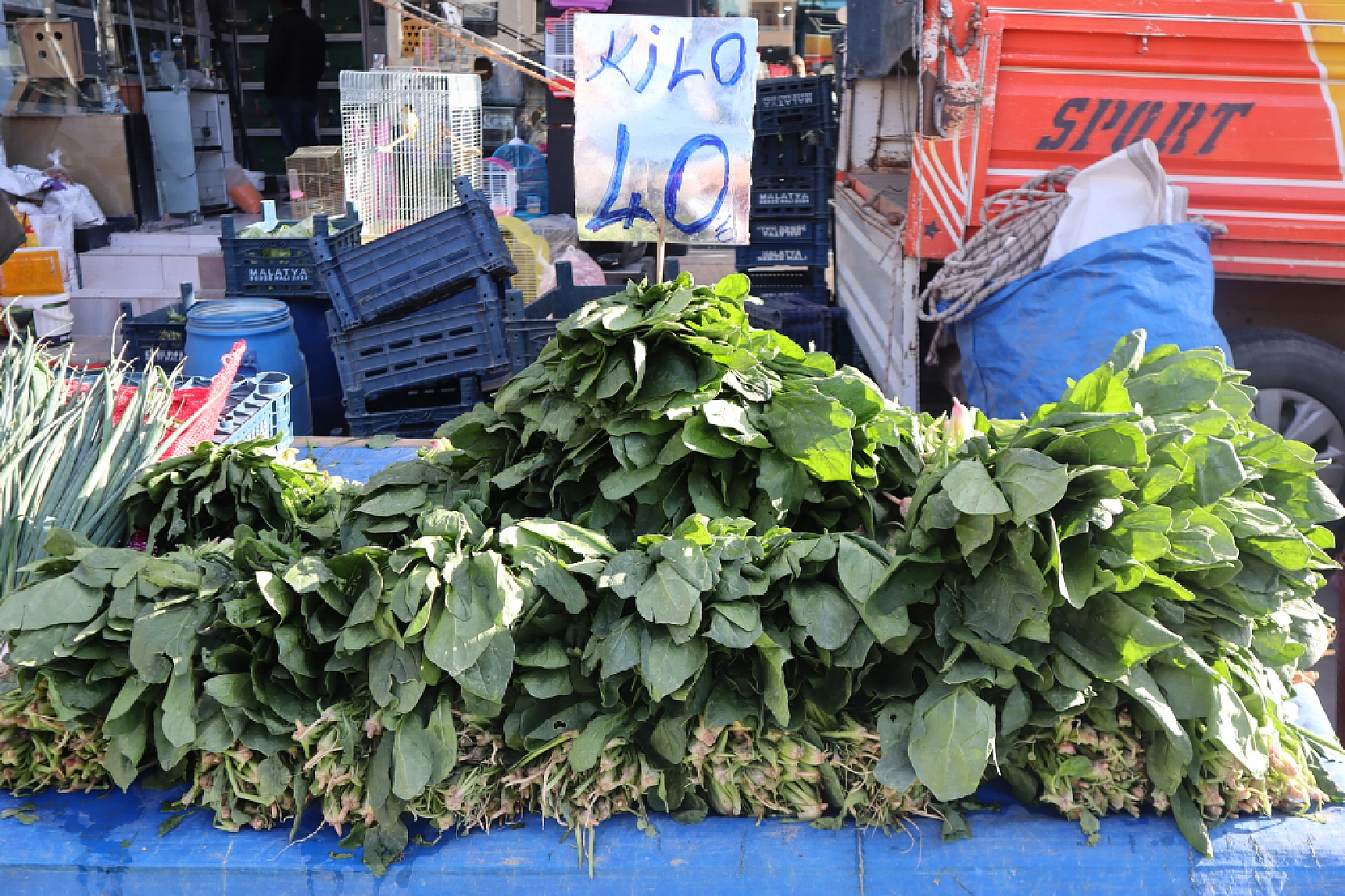 Malatya'da Soğuk Hava Vatandaşları Durduramadı! Herkes Oraya Akın Etti..!