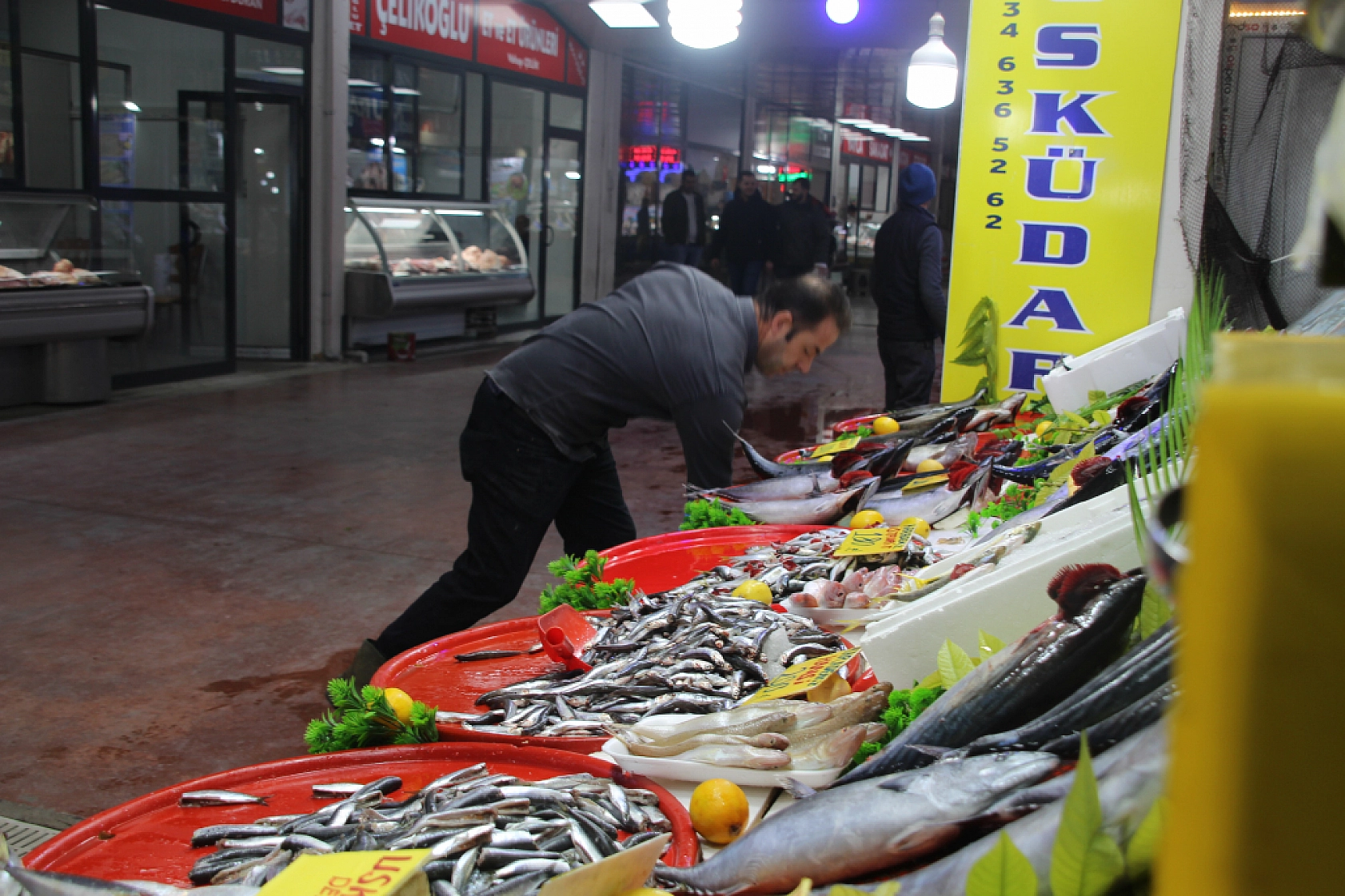 Malatya'da Balık Almak Artık Lüks: Vatandaş Balığa Hasret Kaldı…