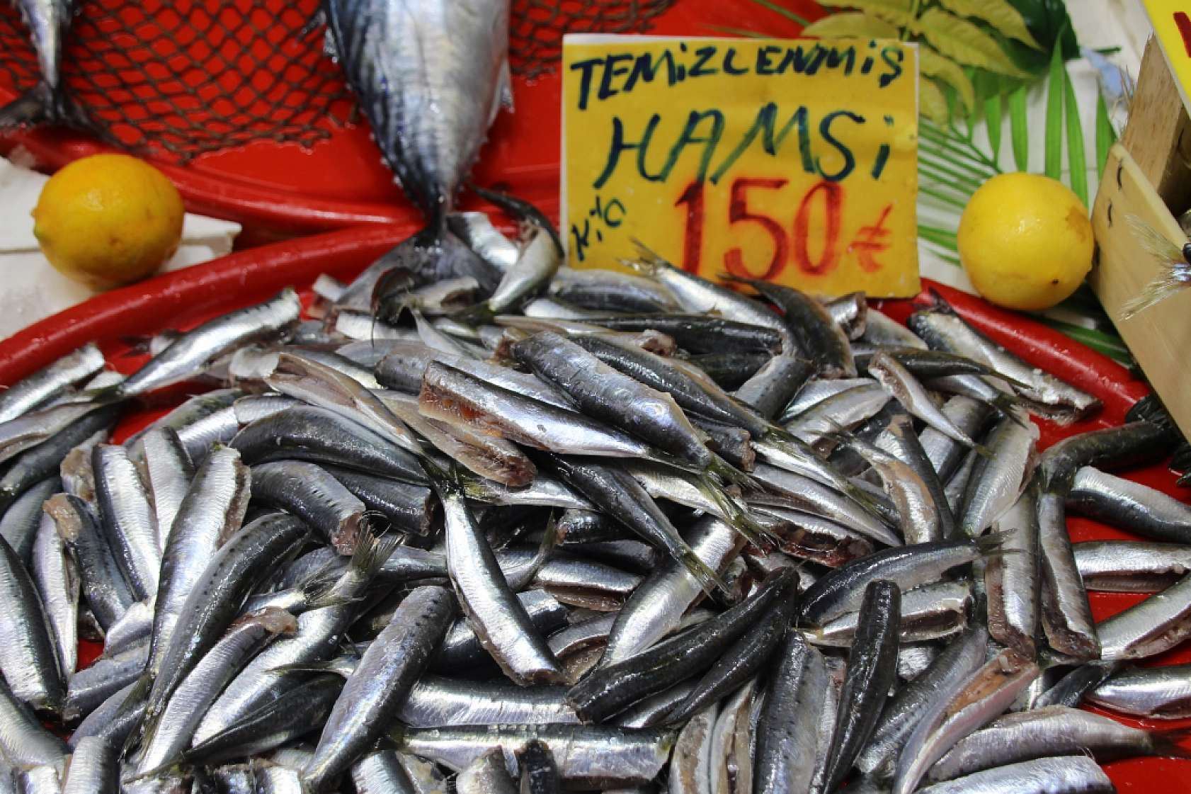 Malatya'da Balık Almak Artık Lüks: Vatandaş Balığa Hasret Kaldı…
