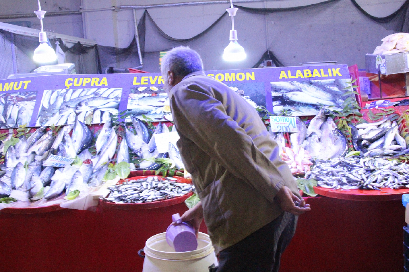Malatya'da Balık Almak Artık Lüks: Vatandaş Balığa Hasret Kaldı…