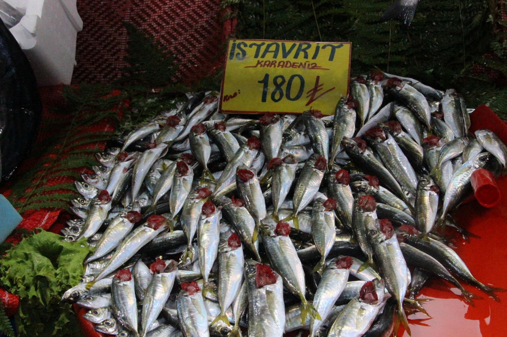 Malatya'da Balık Almak Artık Lüks: Vatandaş Balığa Hasret Kaldı…