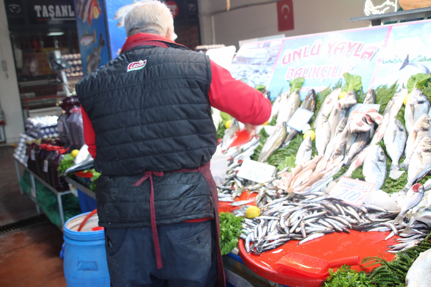 Malatya'da Balık Almak Artık Lüks: Vatandaş Balığa Hasret Kaldı…