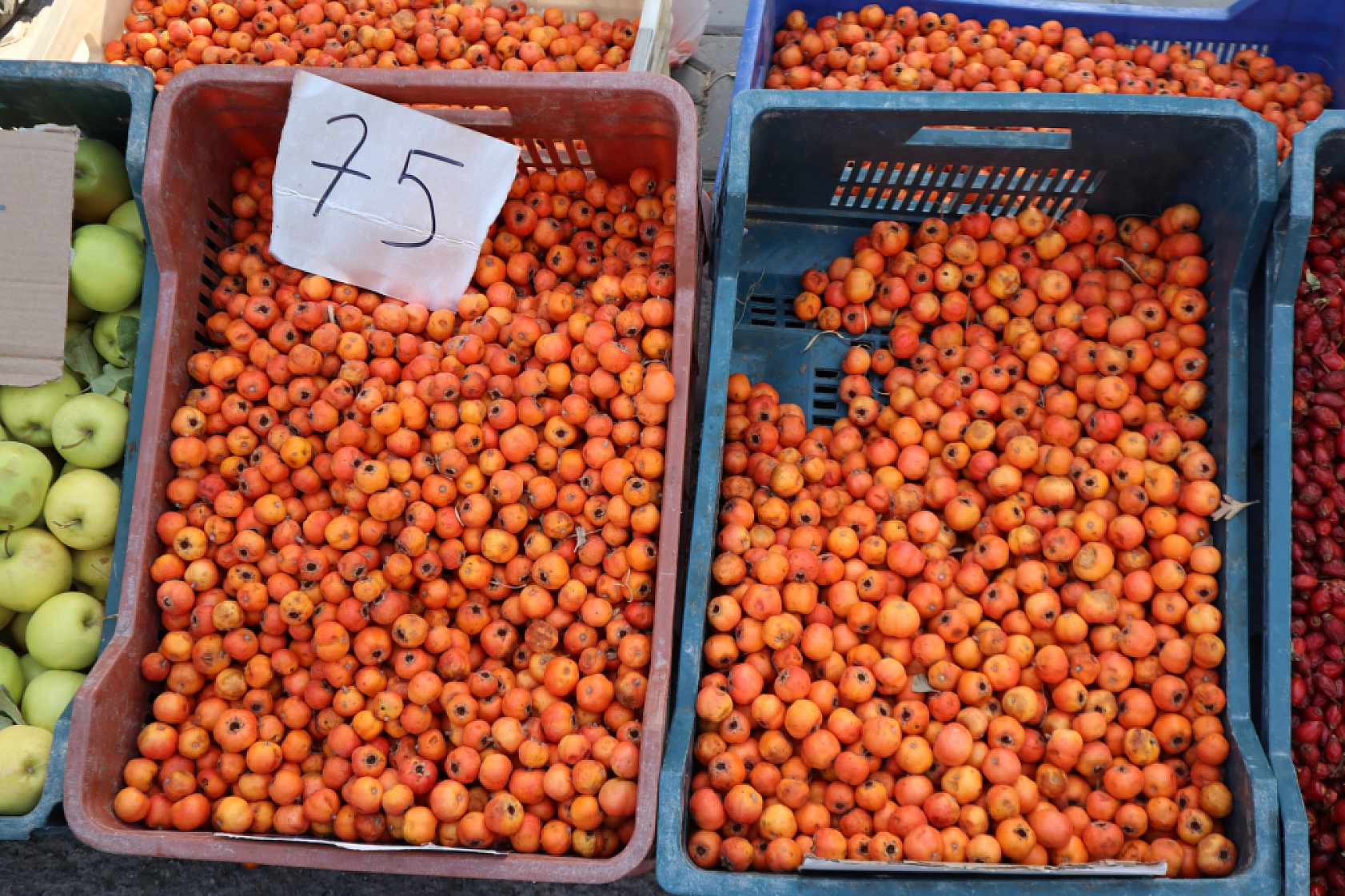 Malatya'da Pazar Fiyatları da Vatandaşın Ceplerini Yakıyor!