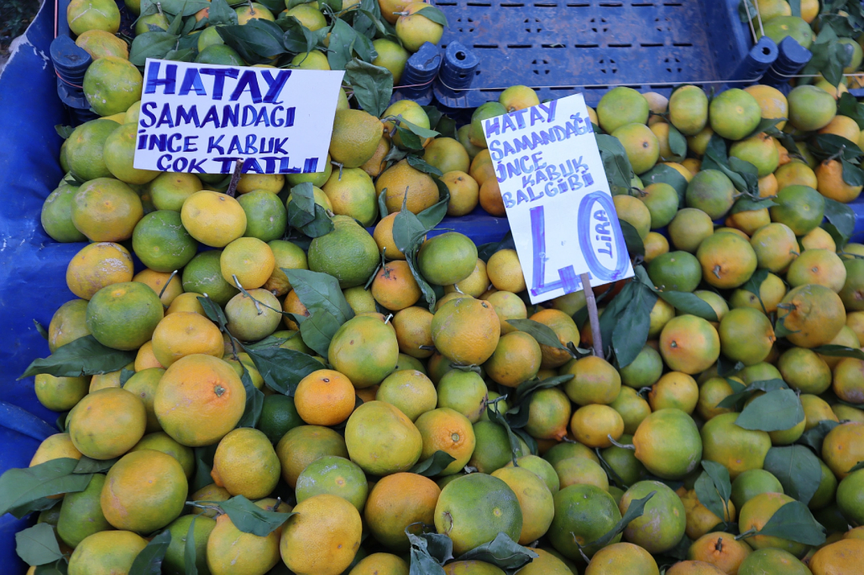 Malatya'da Pazar Fiyatları da Vatandaşın Ceplerini Yakıyor!