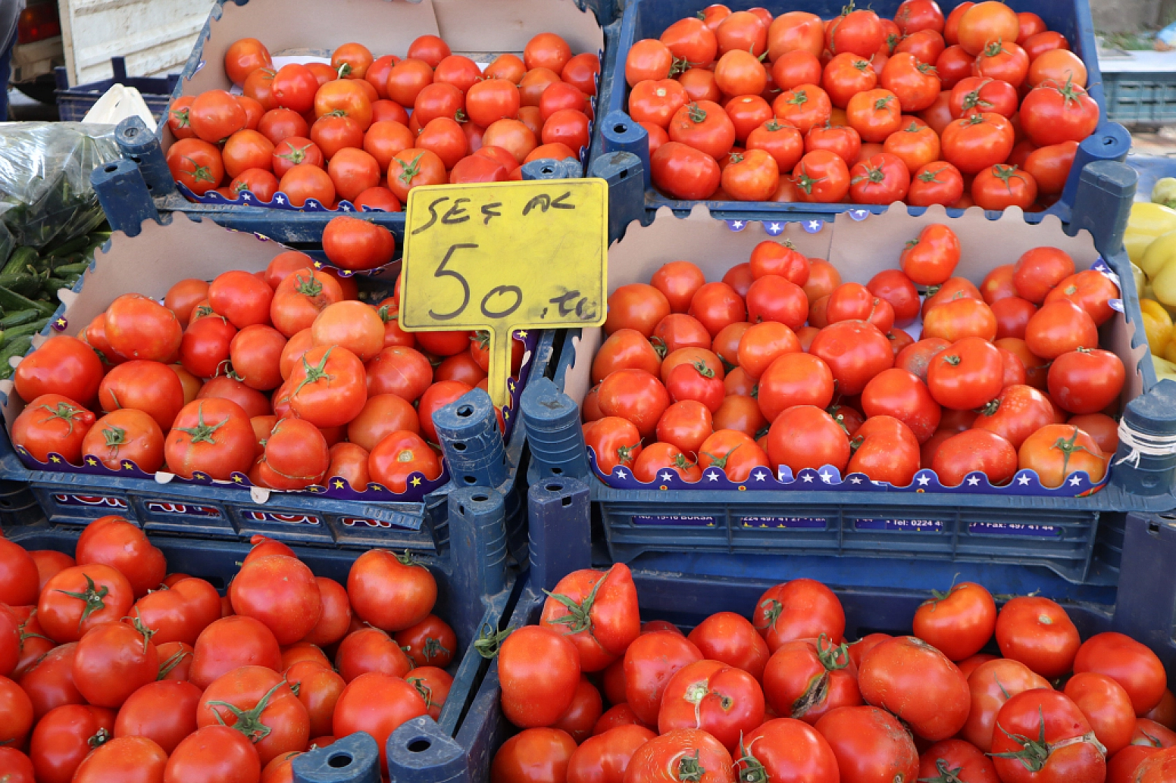 Malatya'da Pazar Fiyatları da Vatandaşın Ceplerini Yakıyor!