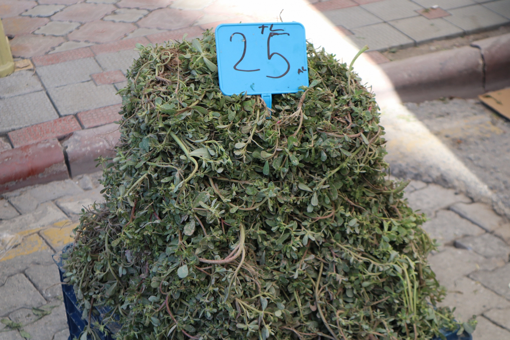 Malatyalılar uygun fiyat peşinde! Pazarda sebze fiyatları yüz güldürdü, meyve tezgâhları yine cep yaktı