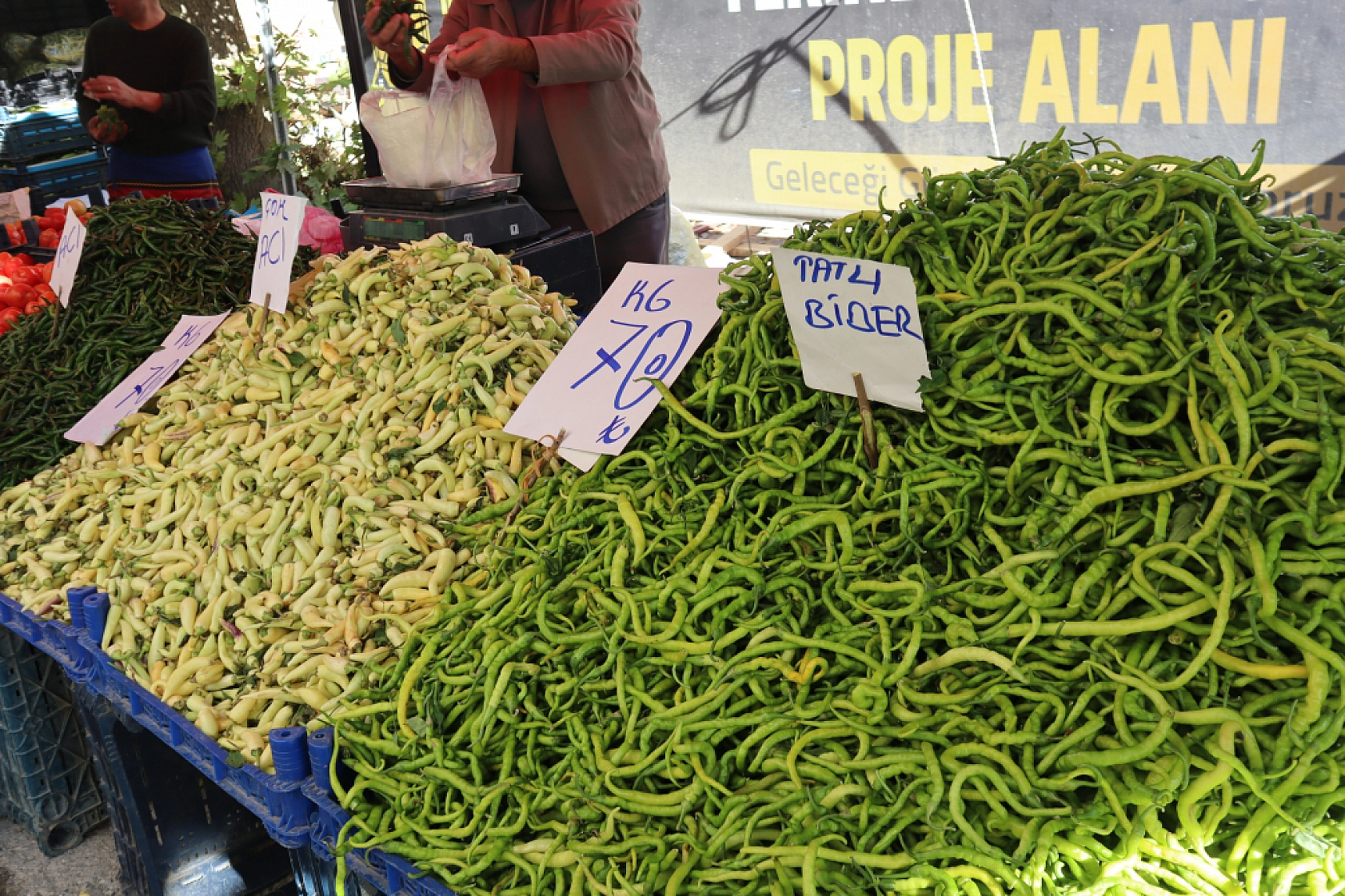 Malatya'da turşu kurmak pahalıya patladı! Peki pazarda turşu malzemelerinin fiyatı nedir?