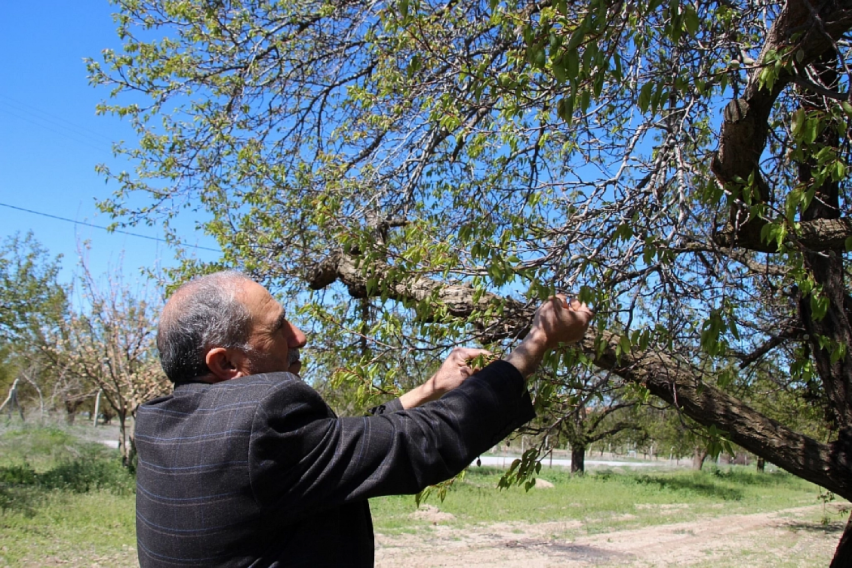 Malatya'da bankalar çiftçinin peşinde!! 2 yıl boyunca TARSİM ödeneklerini 'Bloke'lemişler…
