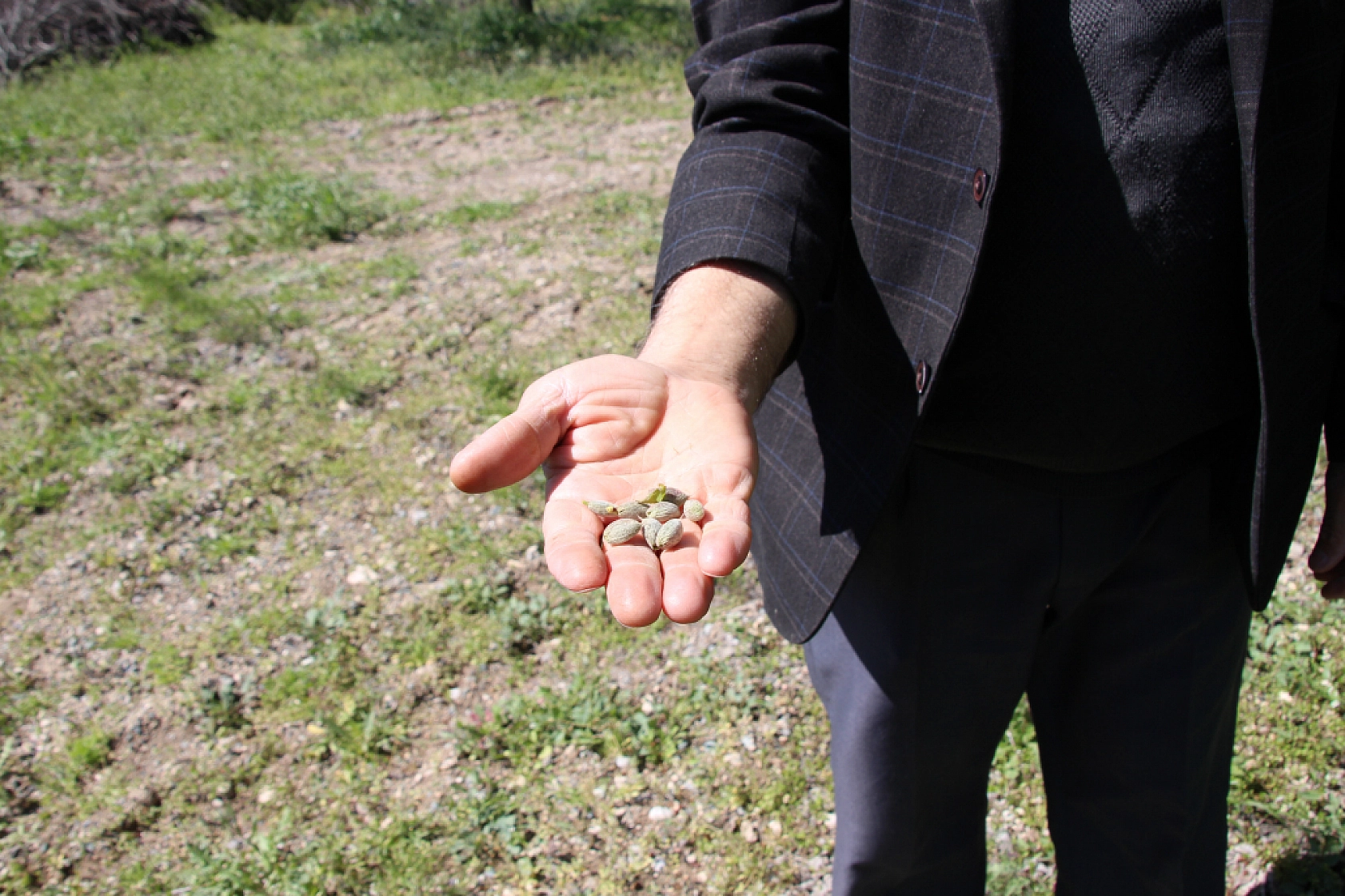 Zirai don destek ödemeleri için umutlu bekleyiş: Gözler bayram sonrasına çevrildi