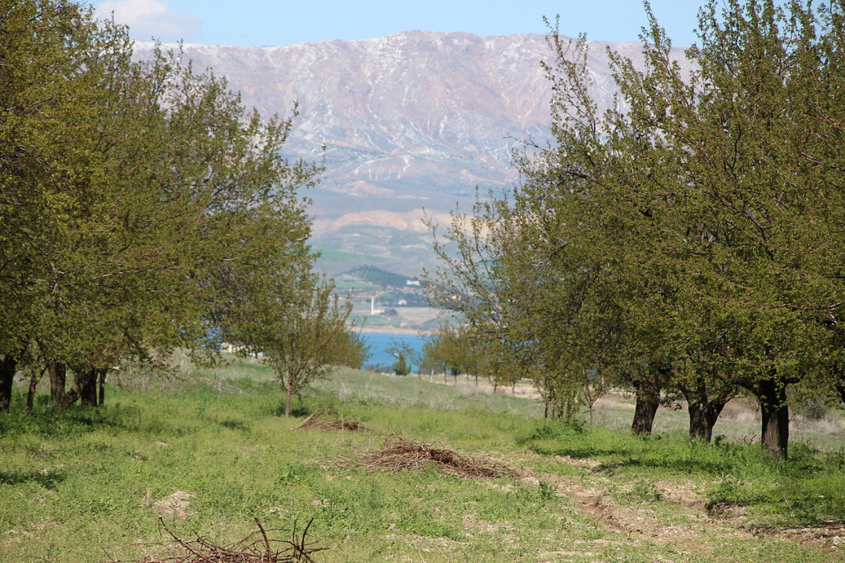 Tarım Sigortası Nedir? Hasar tazminatı ne zaman ve nasıl ödenir? İşte Çiftçilerin Bilmesi Gerekenler…