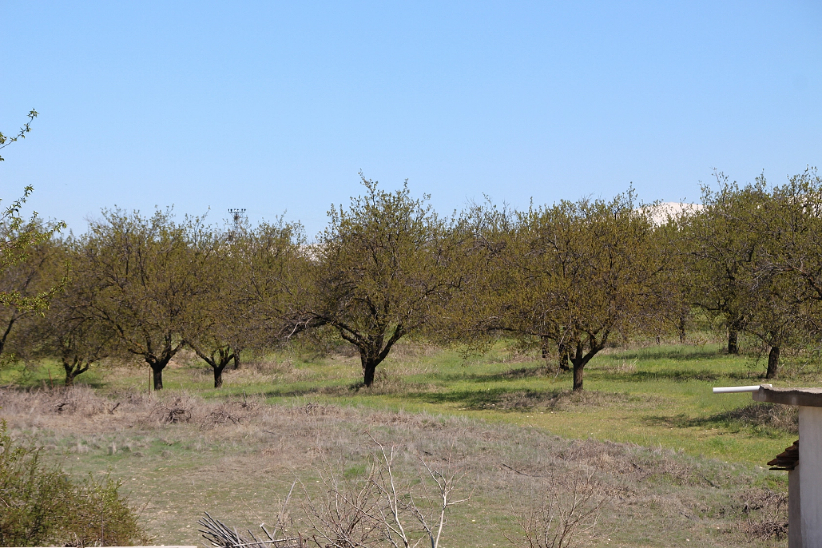 Bayram Sonrası Sözü Yalan Oldu: Zirai Don Ödemesi İçin Yeni Tarih Tepki Çekti