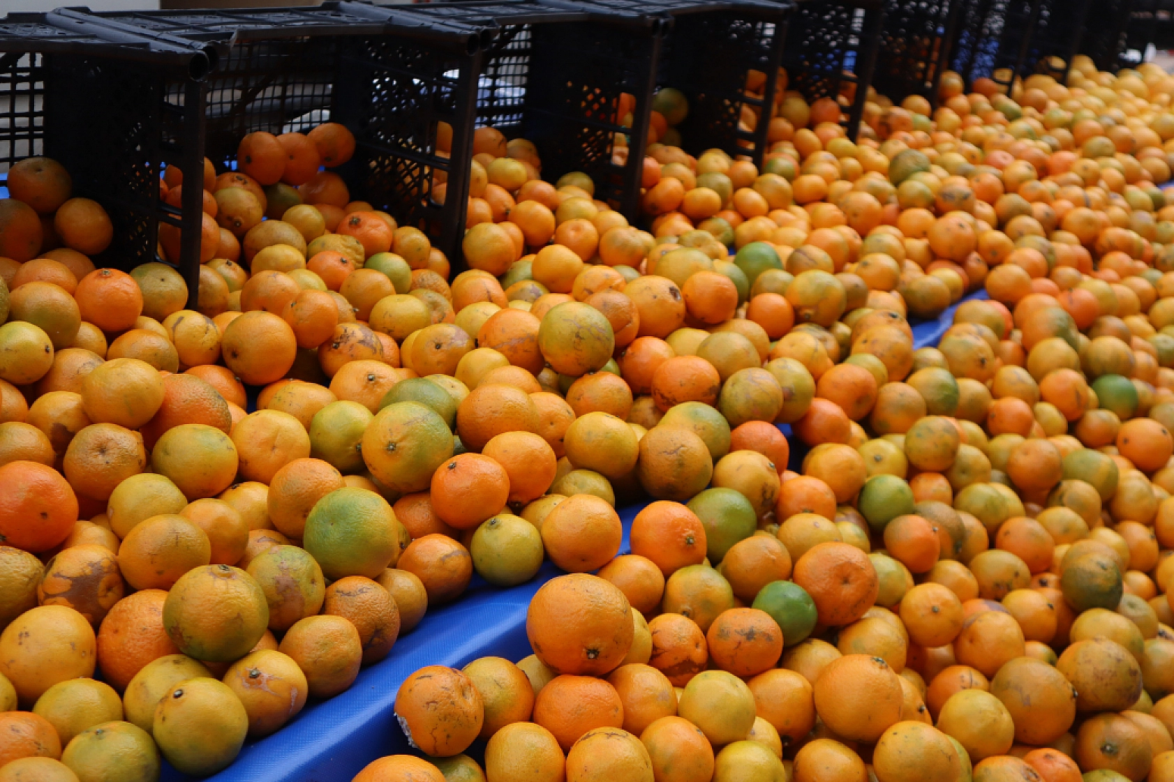 Malatyalıların Cebi Yanıyor: Pazardaki Fiyatlar Dudak Uçuklattı! İşte Güncel Fiyatlar...