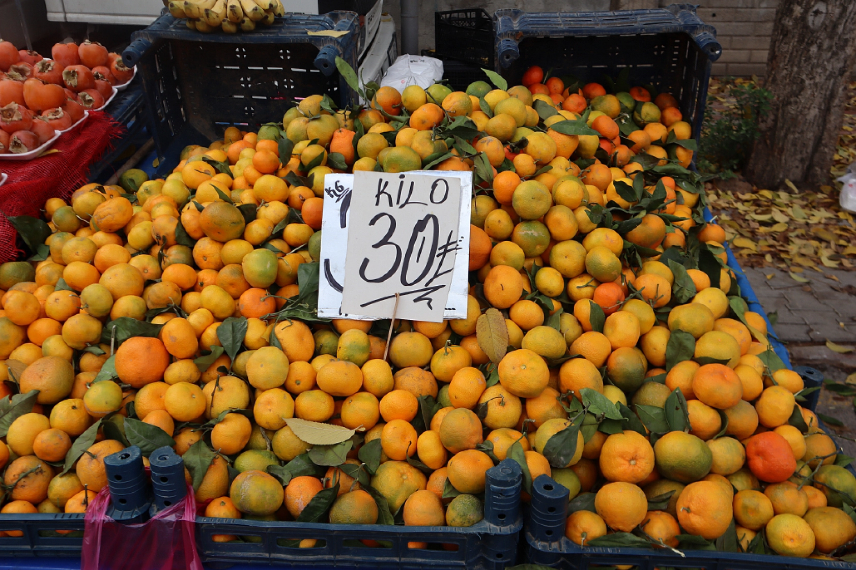 Malatyalıların Cebi Yanıyor: Pazardaki Fiyatlar Dudak Uçuklattı! İşte Güncel Fiyatlar...