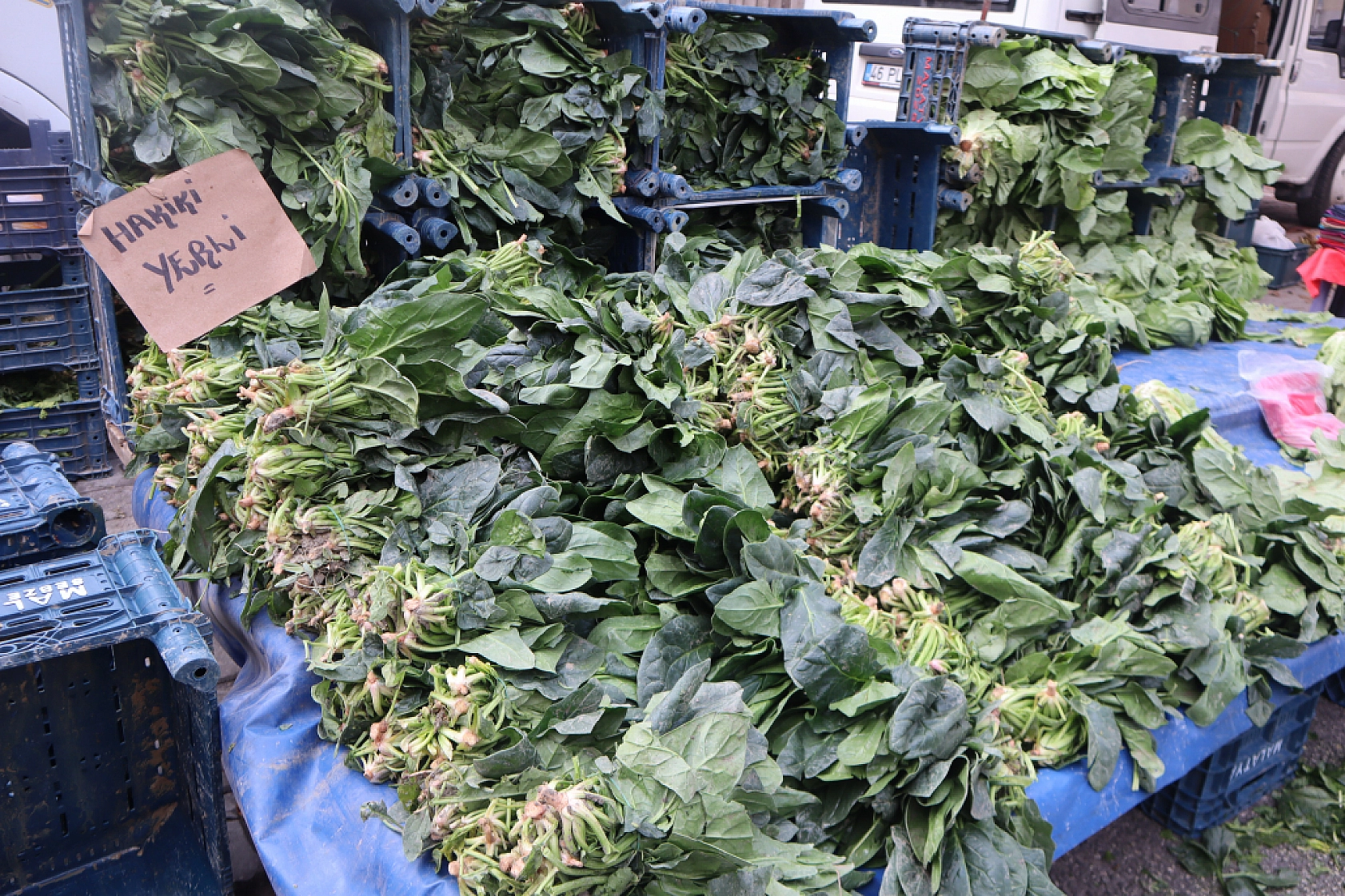 Malatyalıların Cebi Yanıyor: Pazardaki Fiyatlar Dudak Uçuklattı! İşte Güncel Fiyatlar...