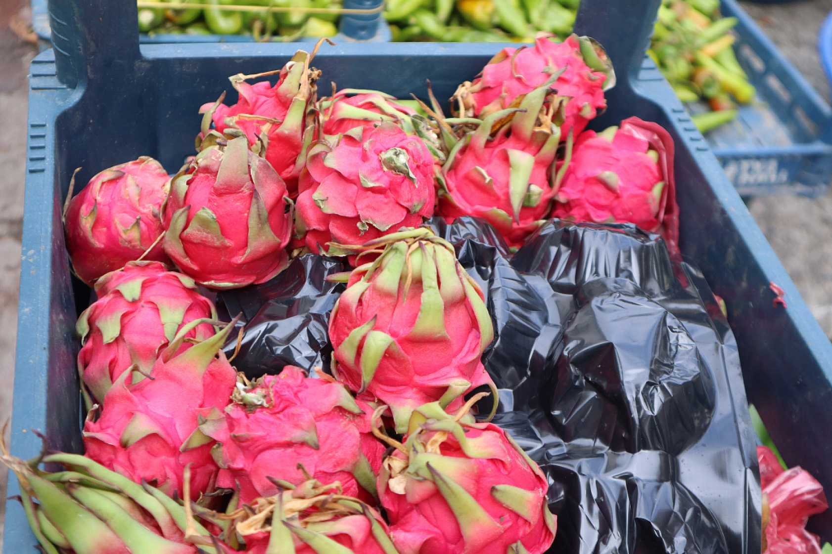 Malatyalıların Cebi Yanıyor: Pazardaki Fiyatlar Dudak Uçuklattı! İşte Güncel Fiyatlar...