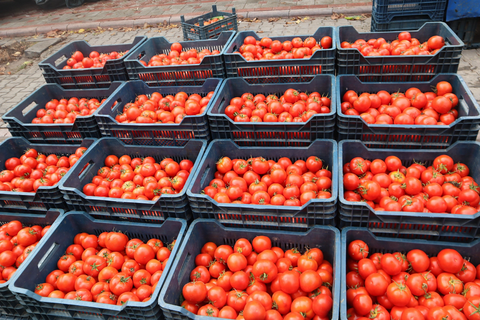 Malatyalıların Cebi Yanıyor: Pazardaki Fiyatlar Dudak Uçuklattı! İşte Güncel Fiyatlar...