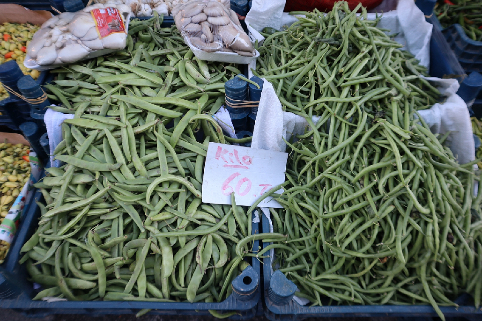 Malatyalılar uygun fiyat peşinde! Pazarda meyve fiyatları cep yakmaya devam ediyor