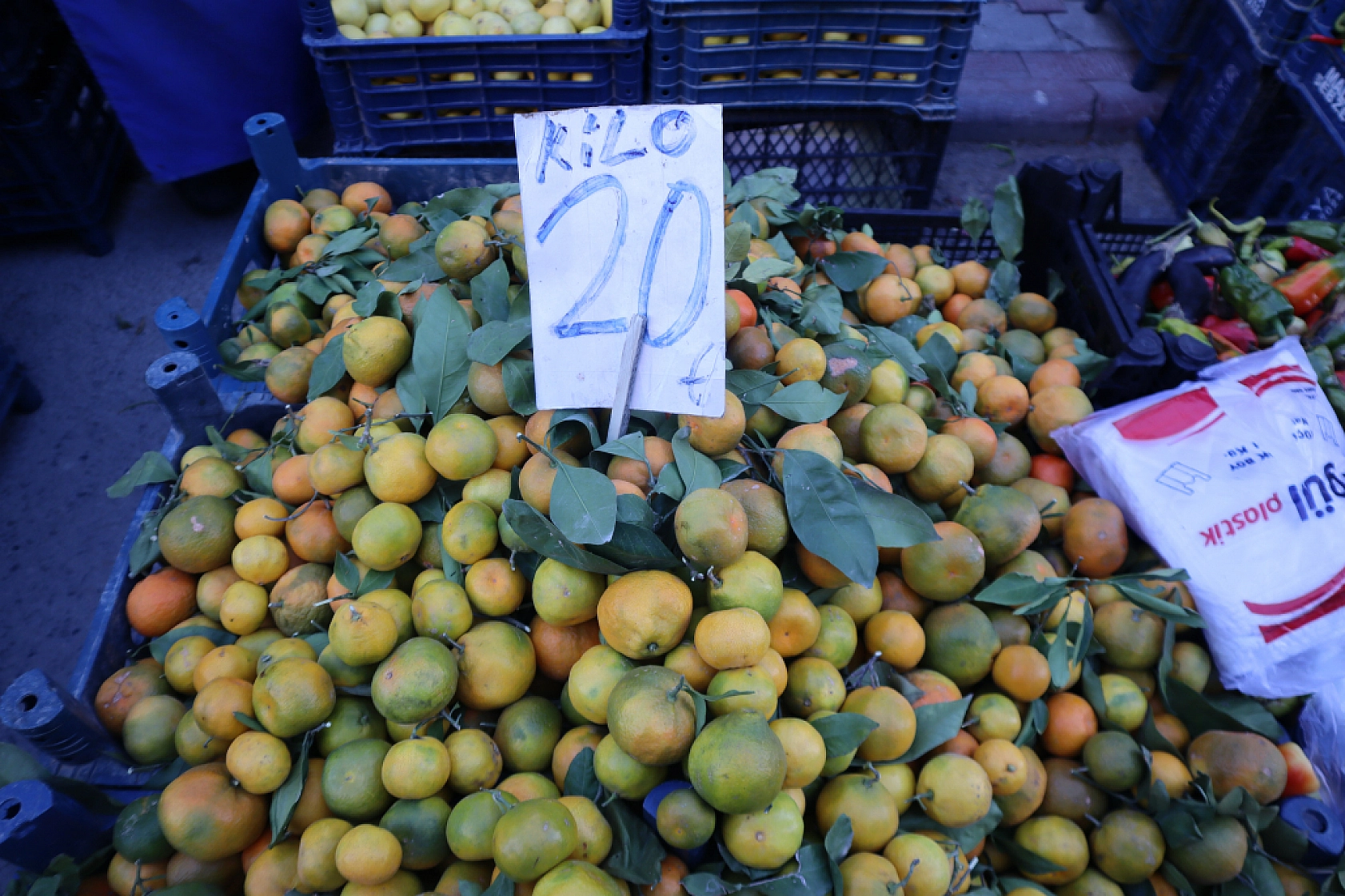 Malatyalılar uygun fiyat peşinde! Pazarda meyve fiyatları cep yakmaya devam ediyor