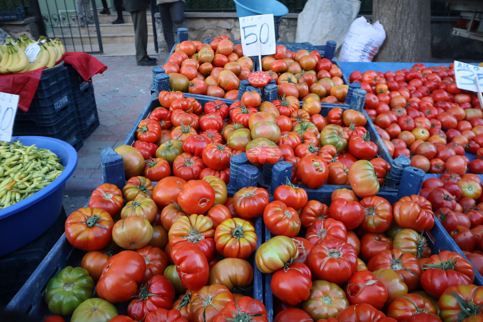Malatyalılar uygun fiyat peşinde! Pazarda meyve fiyatları cep yakmaya devam ediyor