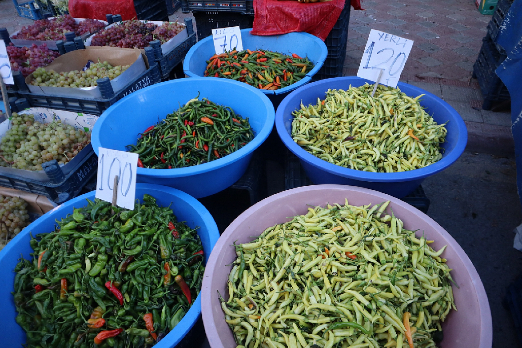 Malatyalılar uygun fiyat peşinde! Pazarda meyve fiyatları cep yakmaya devam ediyor