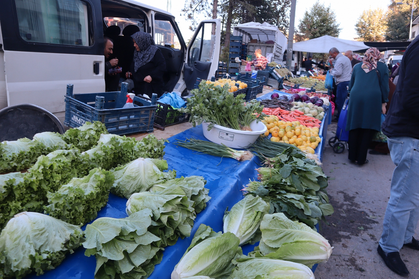 Malatyalılar uygun fiyat peşinde! Pazarda meyve fiyatları cep yakmaya devam ediyor